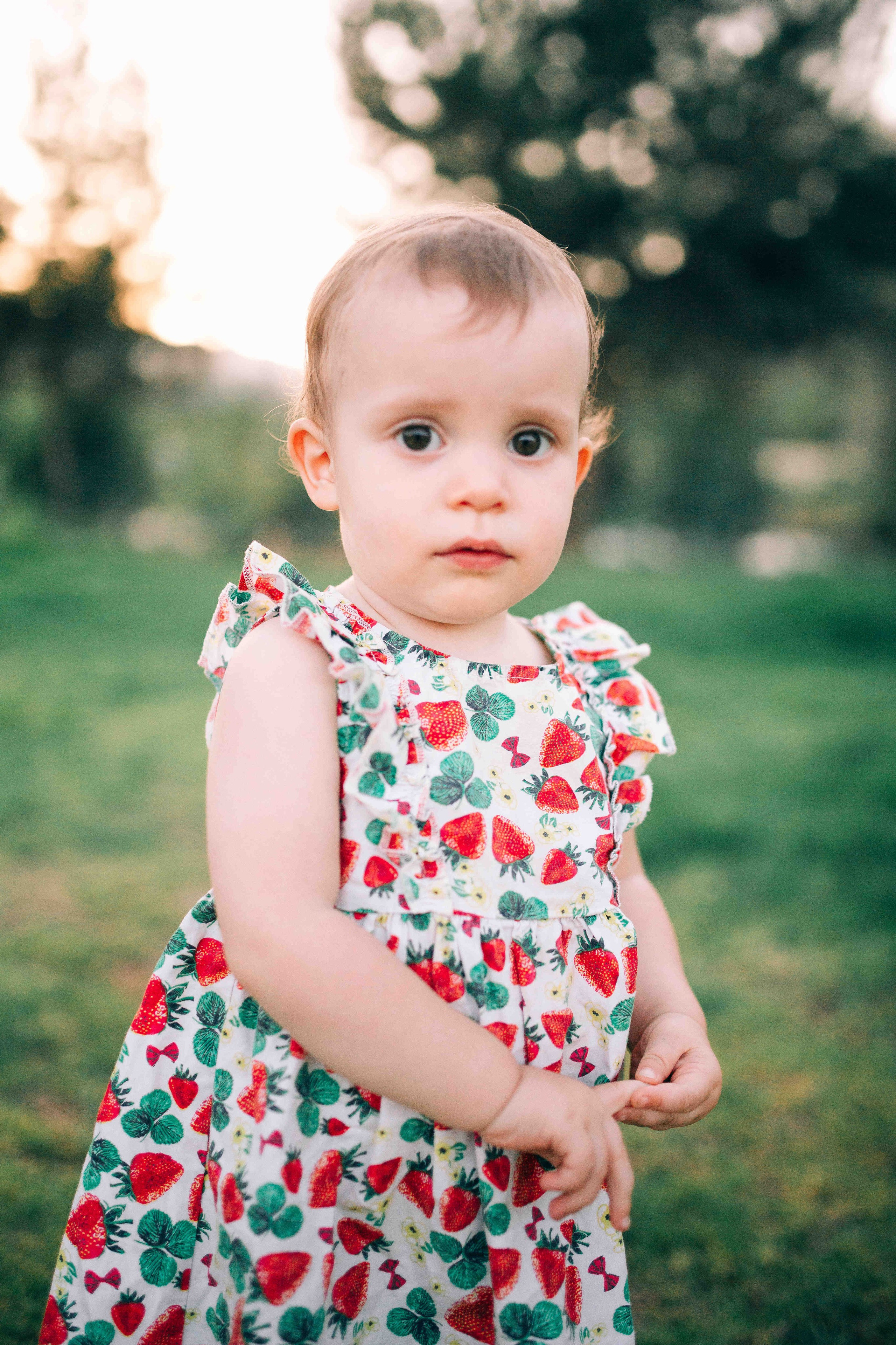 VALLEY OF GAZELLES, JERUSALEM. PHOTOGRAPHER IN ISRAEL
