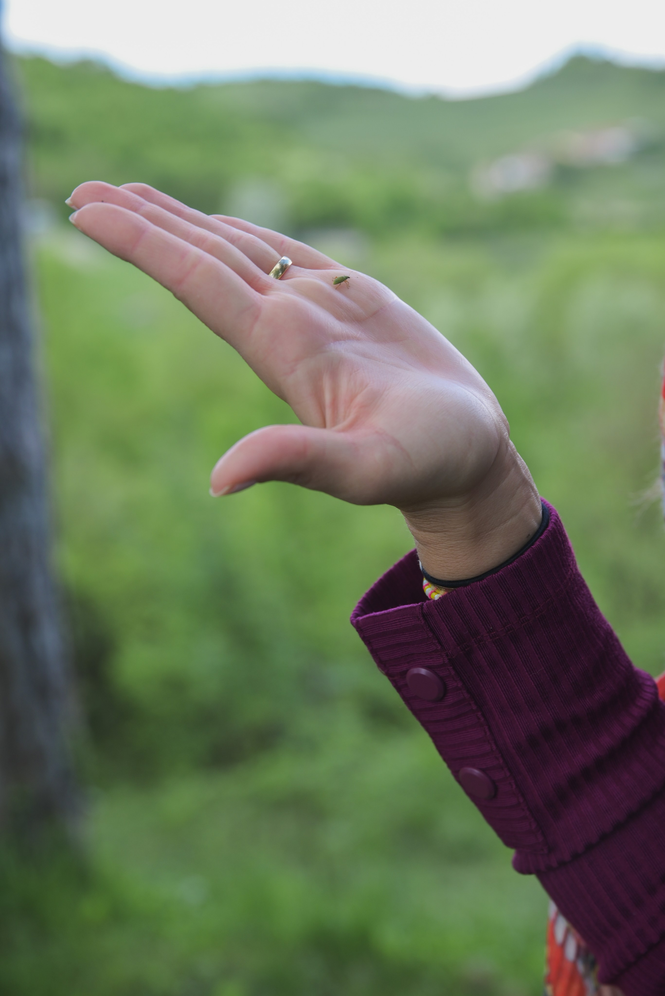 CONTENUTI DI UNA FFOD BLOGGER LIBANESE IN UN VIAGGIO IN ITALIA PER IMPARARE LA CUCINA ITALIANA