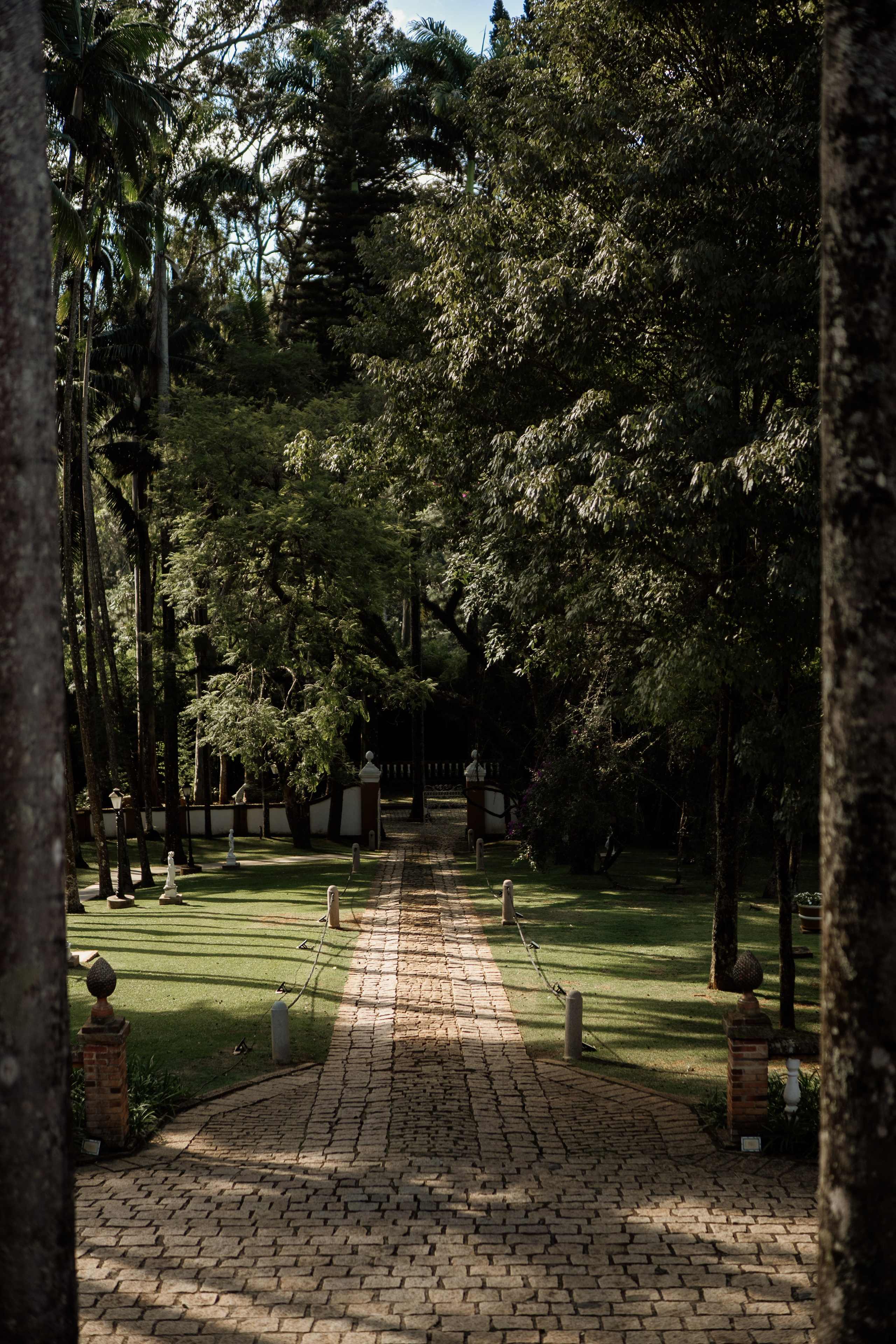 Johanna & Felipe. Congiu Wedding