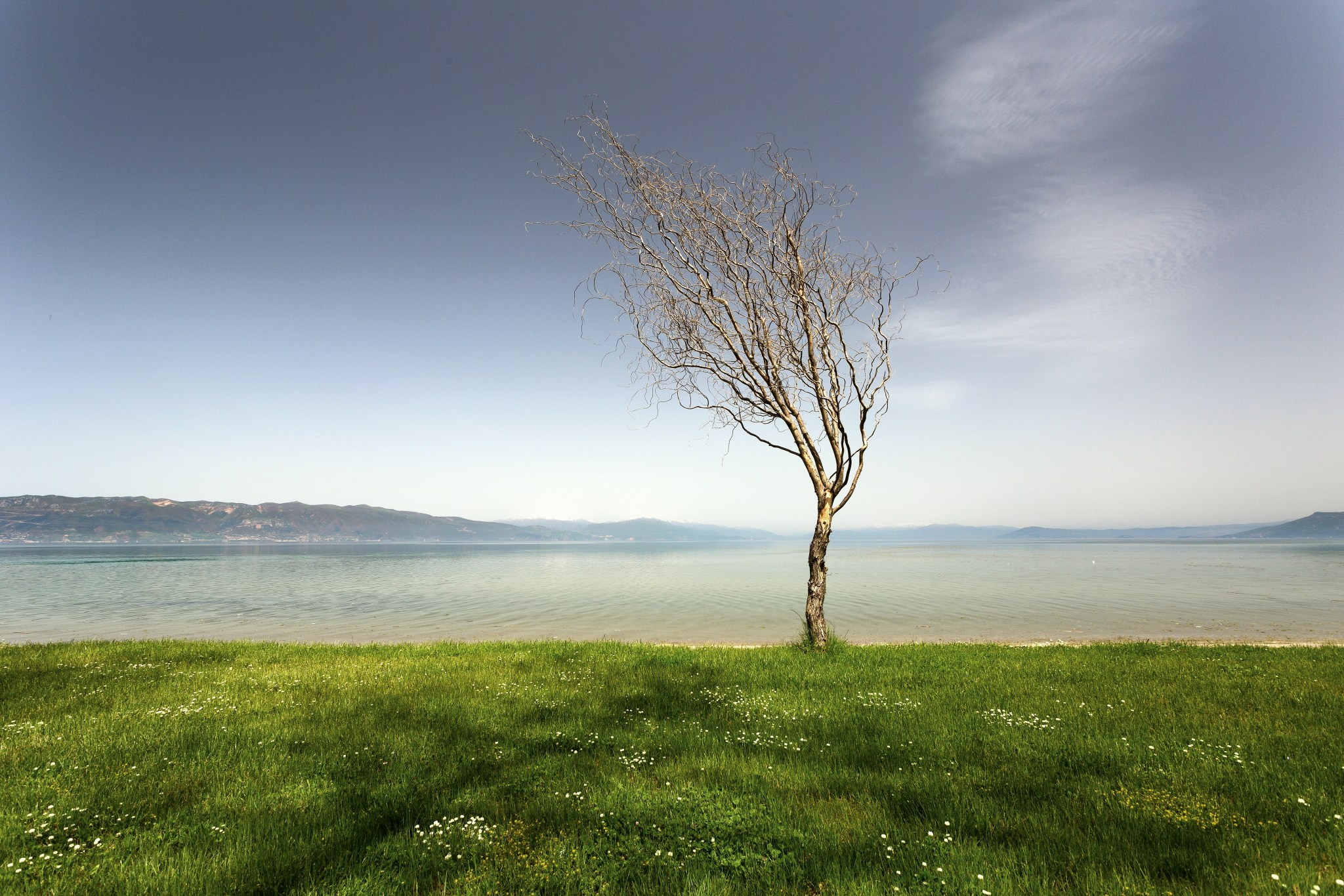 Разни. Александър Сандев - website