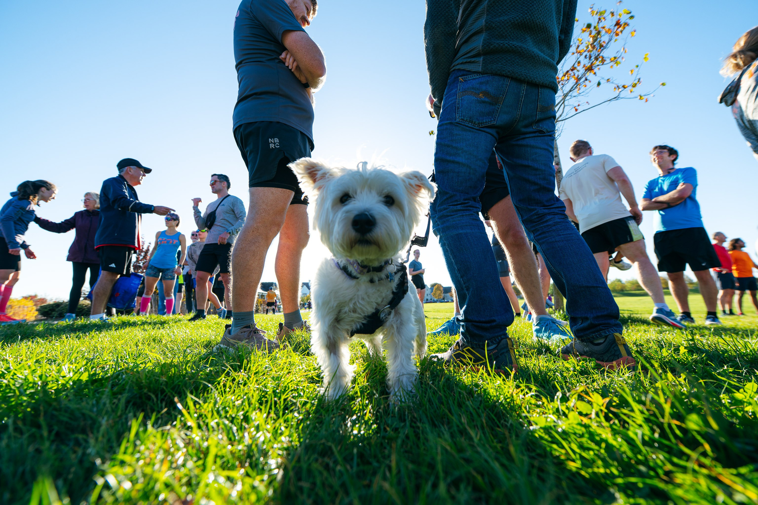 2026.10.17 Dorchester | The Great Field parkrun. Alexander Kabanov Photographer