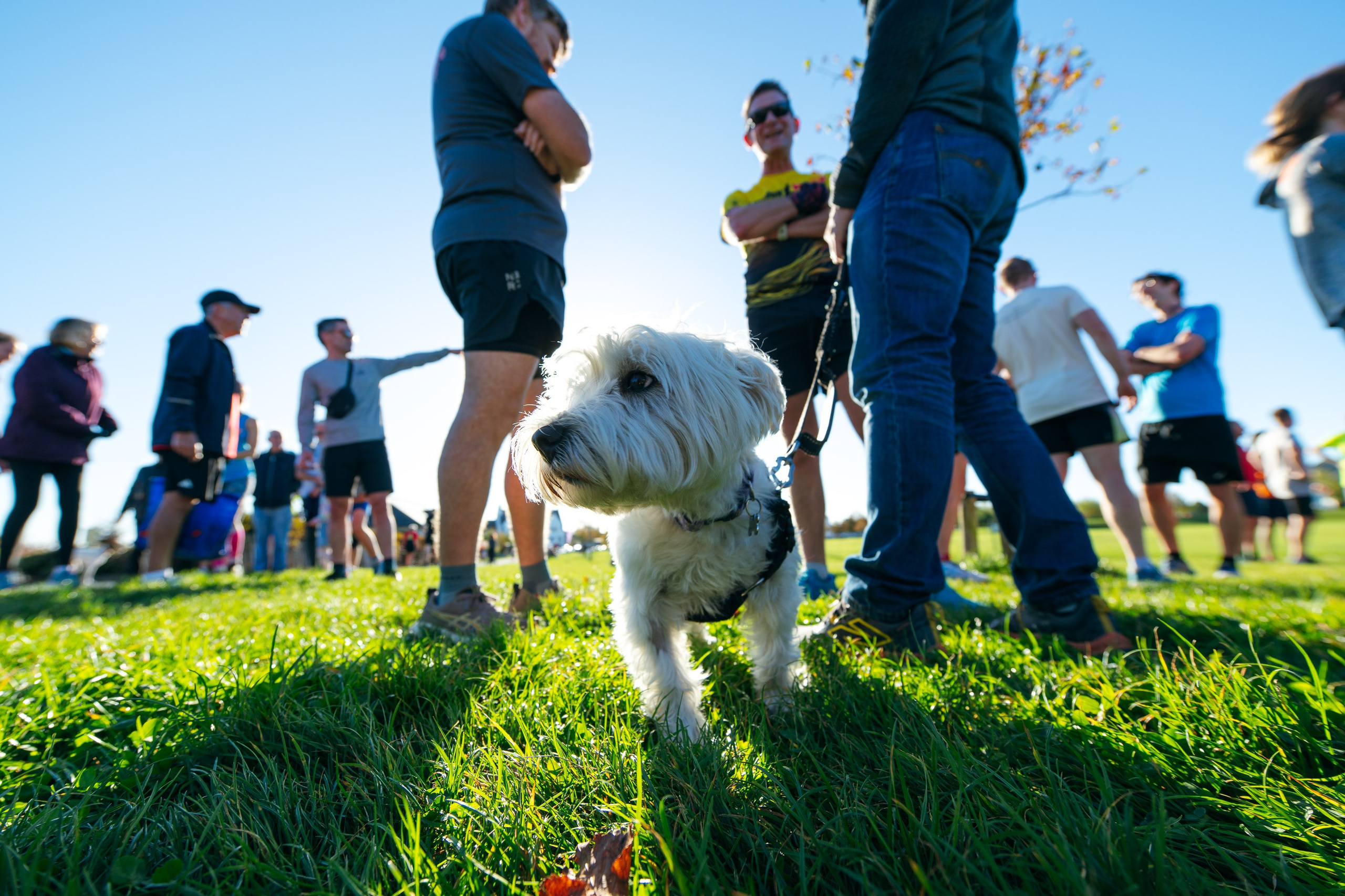 2026.10.17 Dorchester | The Great Field parkrun. Alexander Kabanov Photographer