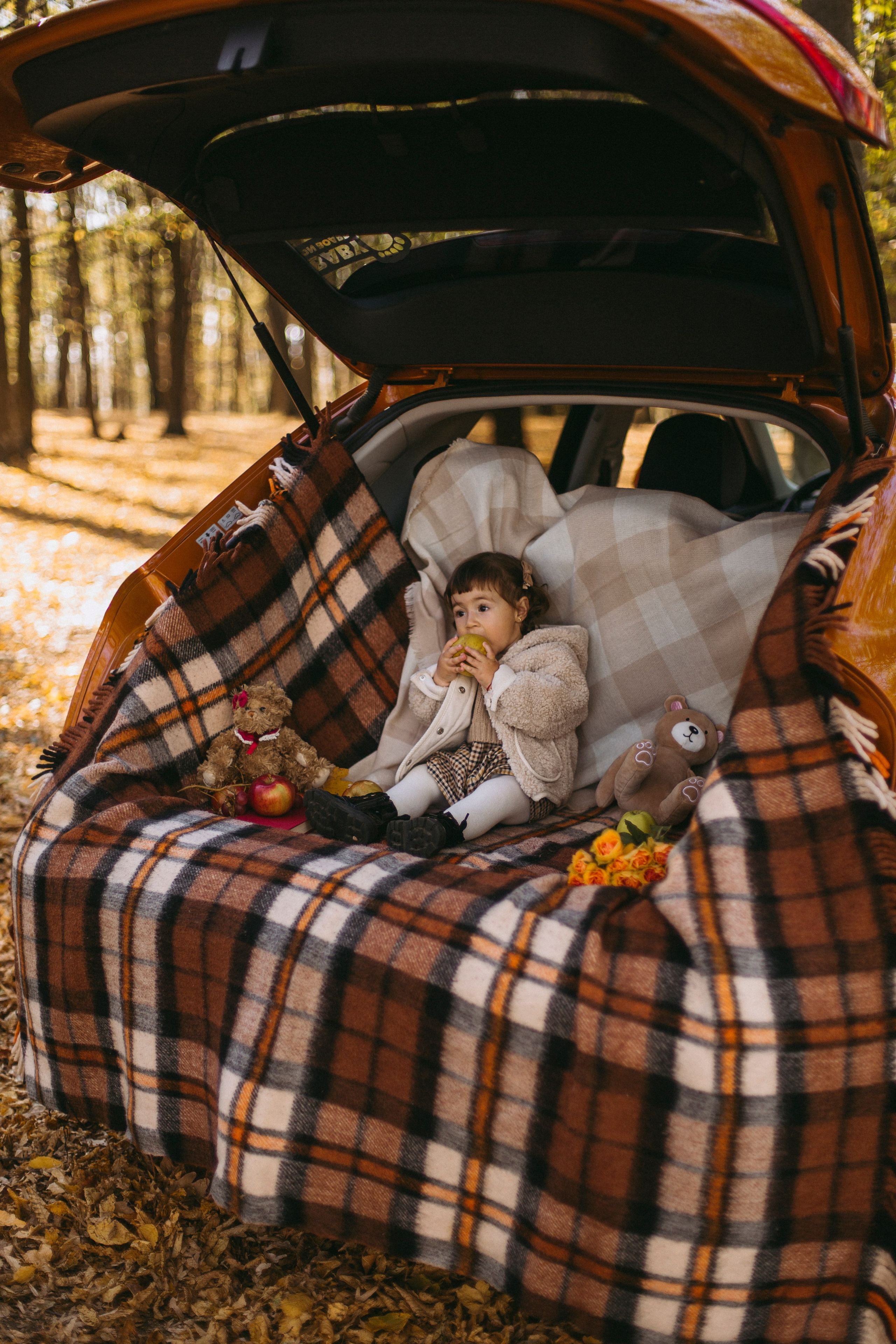 Pricop. Fotograf București, România