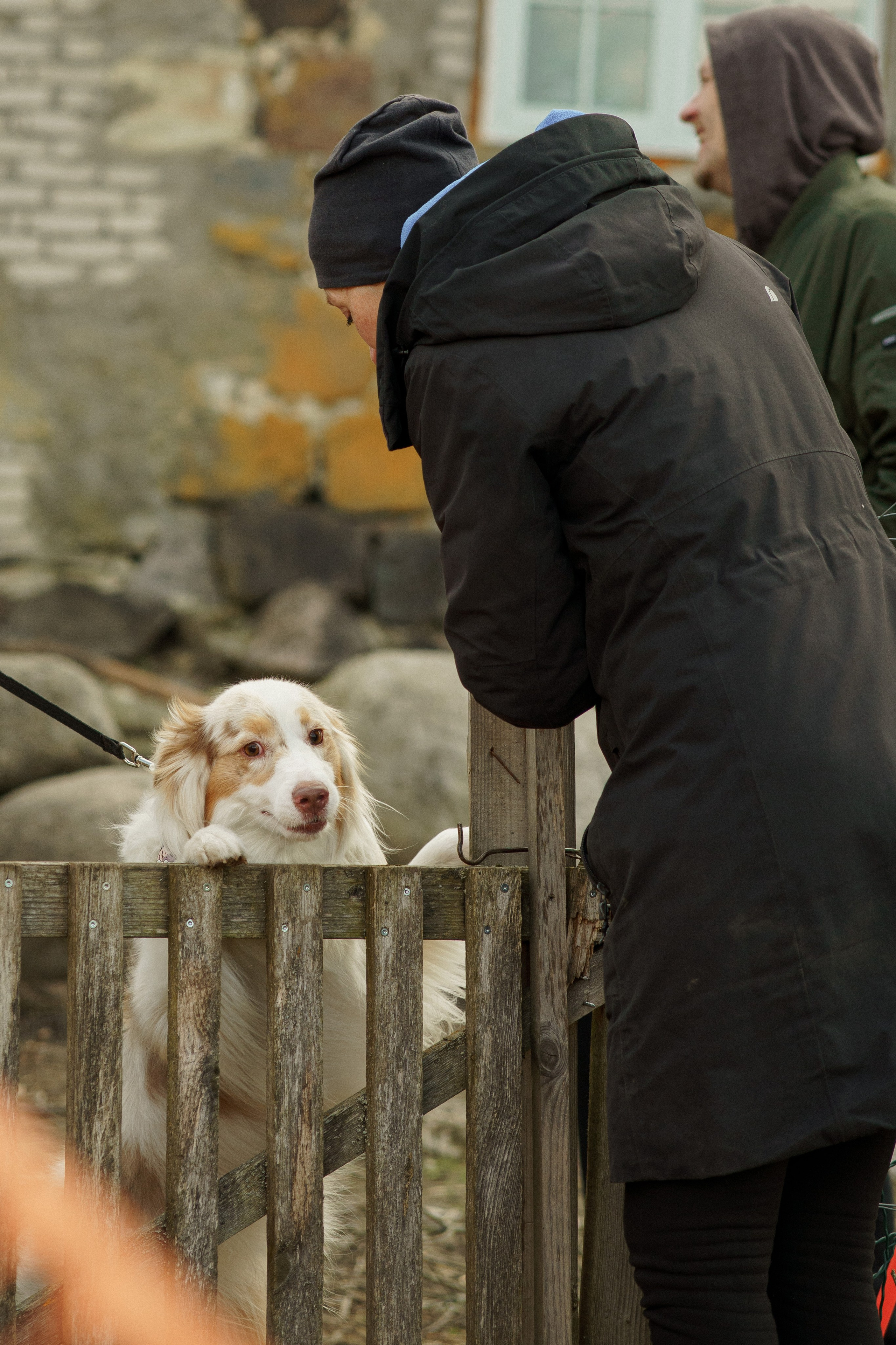 Herding Days, 26 apr. 2025. Kat Laisaar — Pet photographer in Tallinn
