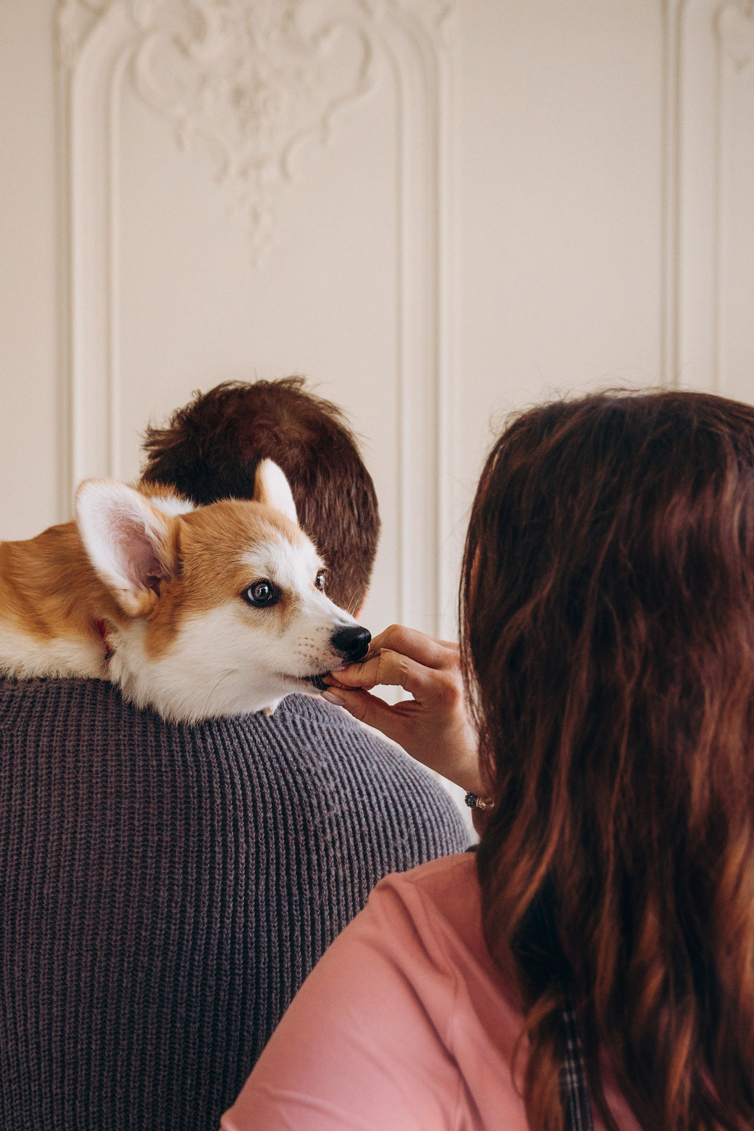 Mars & his Family. Kat Laisaar — Pet photographer in Tallinn