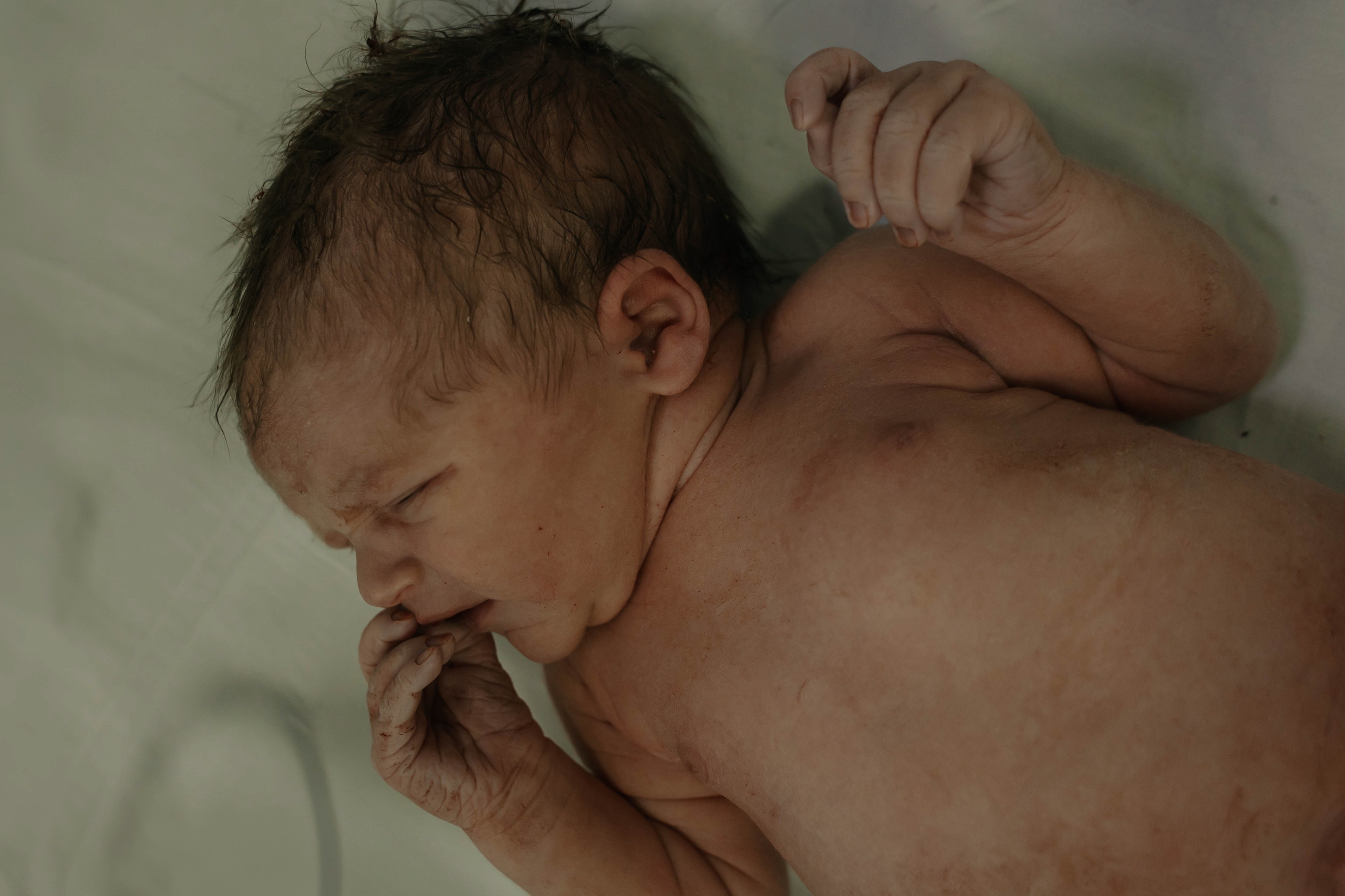 A Chegada de Maria Lis. Amanda Paraizo | Fotógrafa de Parto, Gestante e Família na Grande Vitória — ES