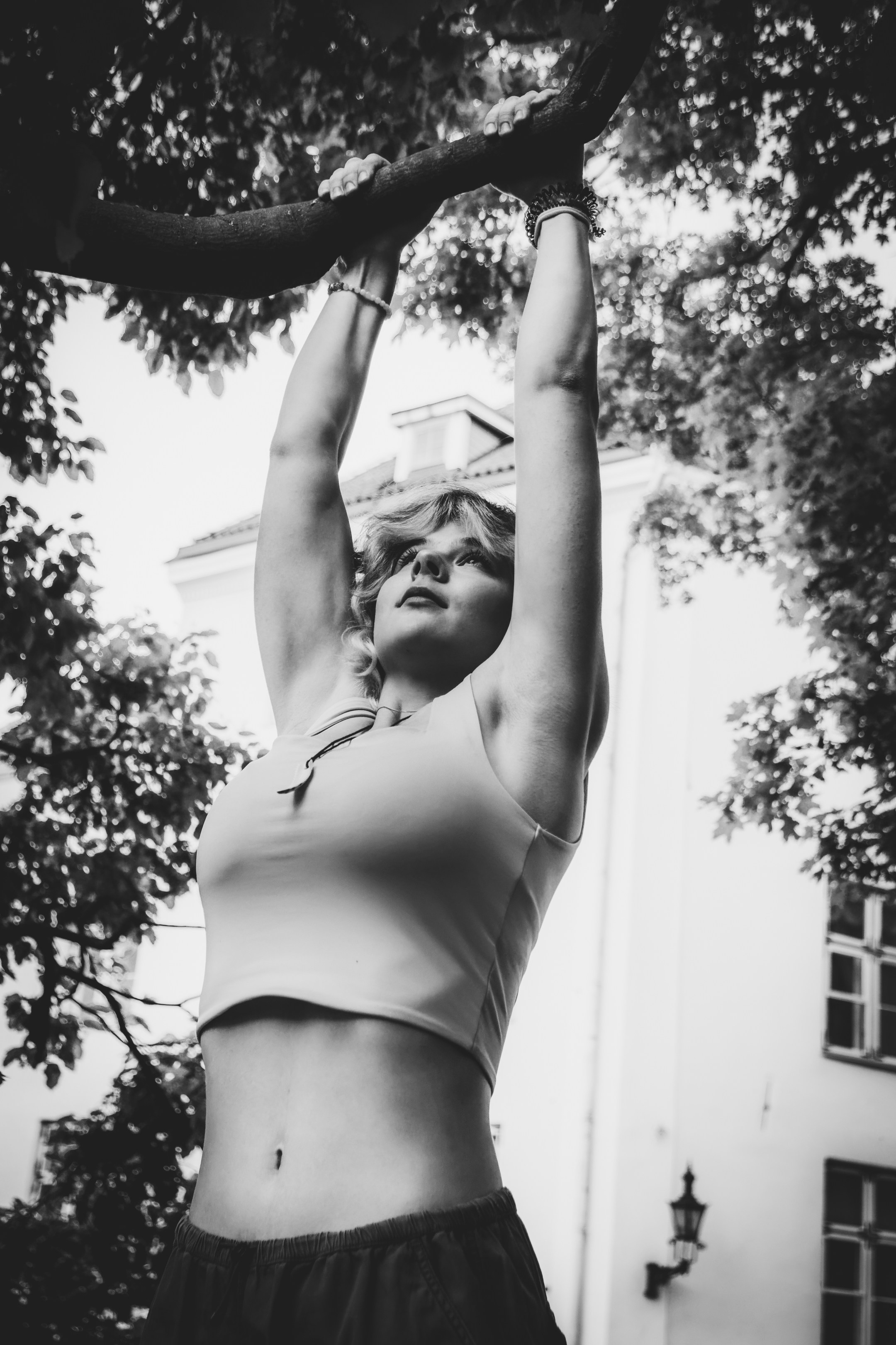 Lahe graatsia (Sonja). Nebula 25 — Fotod teie hingele