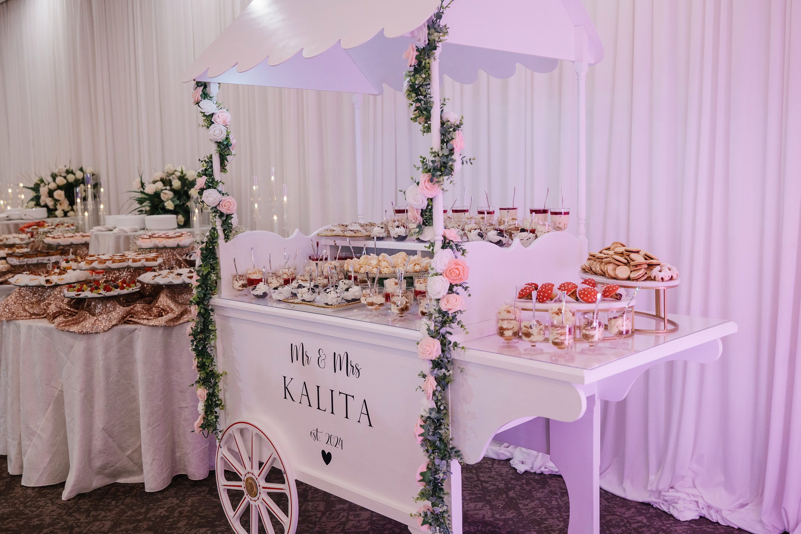 31.08.2024 Wedding. Wedding family event photographer in Chicago Nick Yushevich