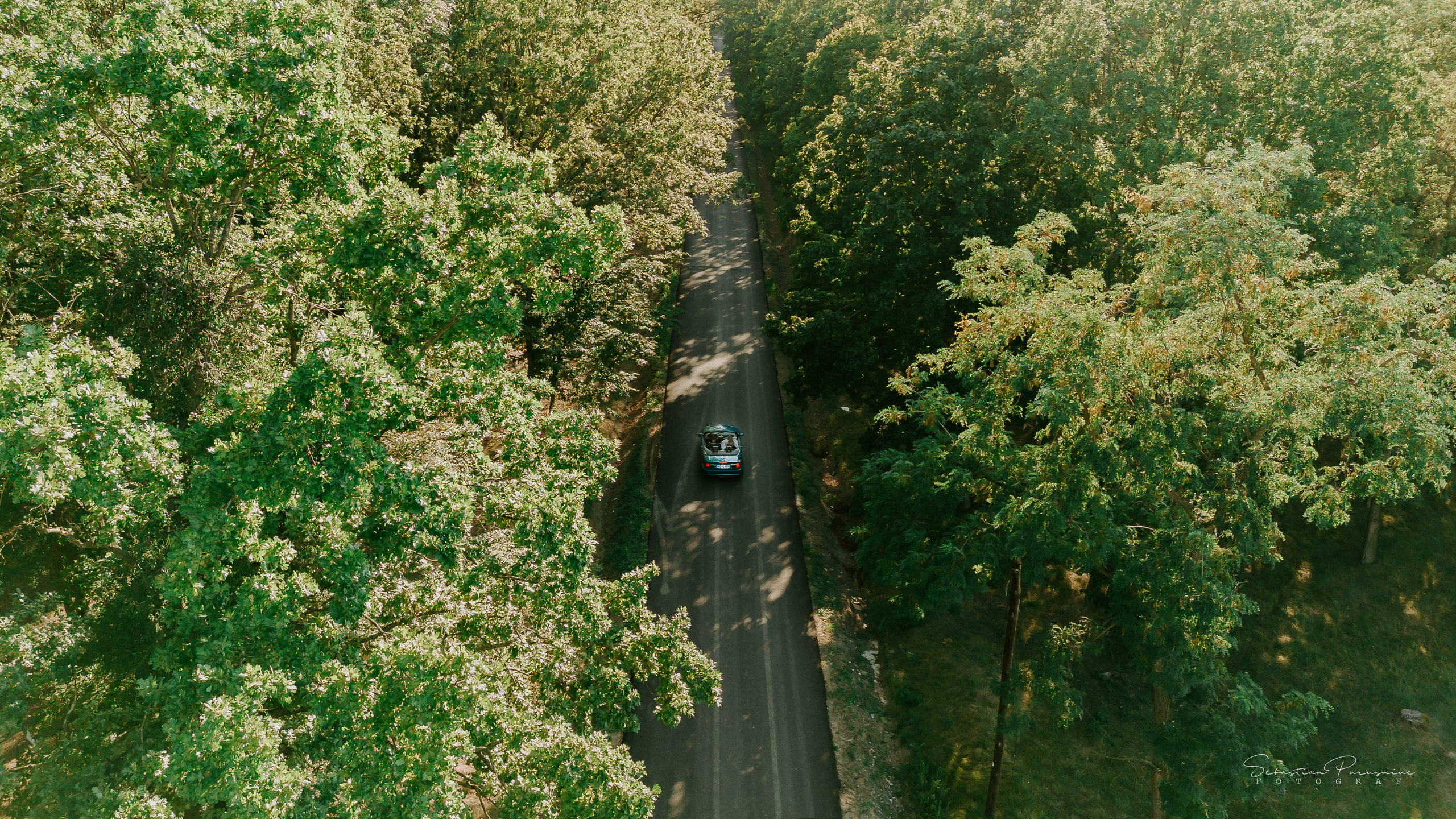 Bianca & Iulian. Sebastian Purusniuc Fotograf - Iasi