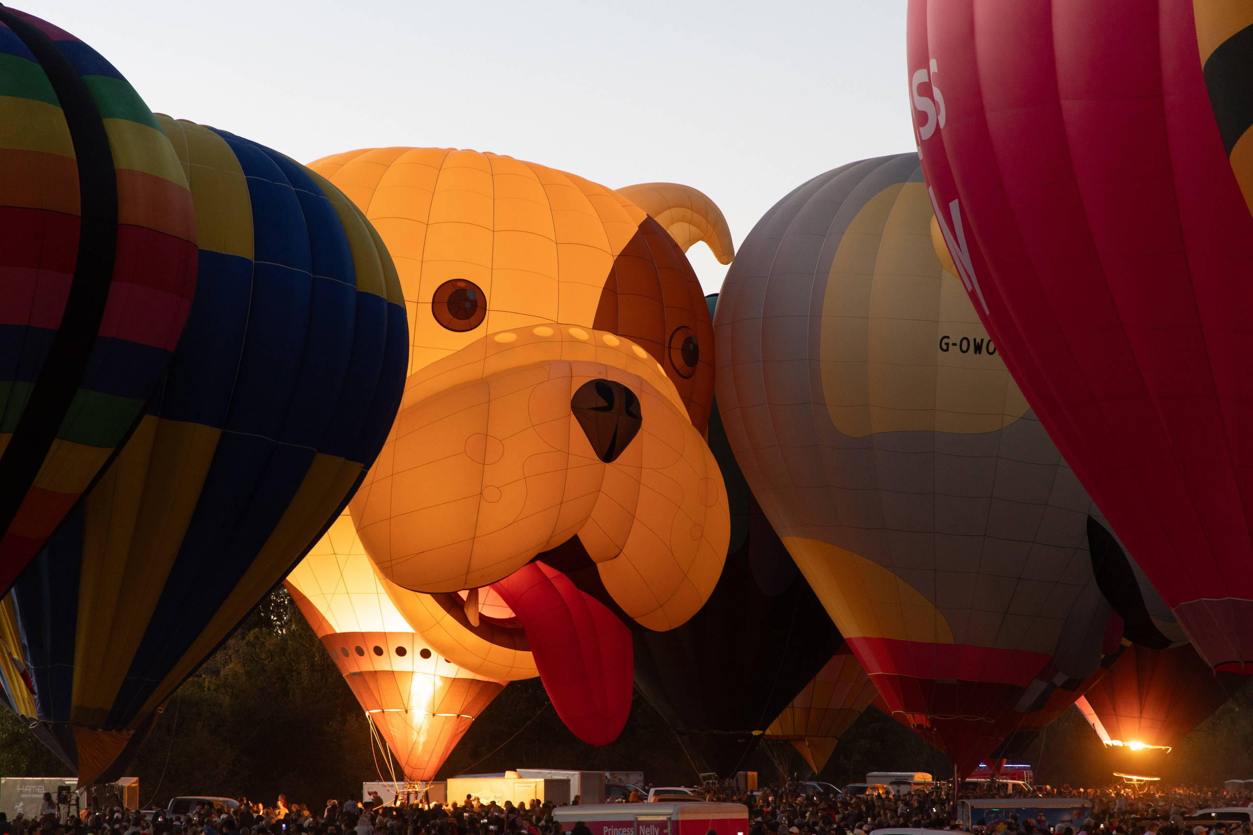 High River Balloon Festival Lights Up the Sky. ProFly.club — Professional aerial filming in Calgary