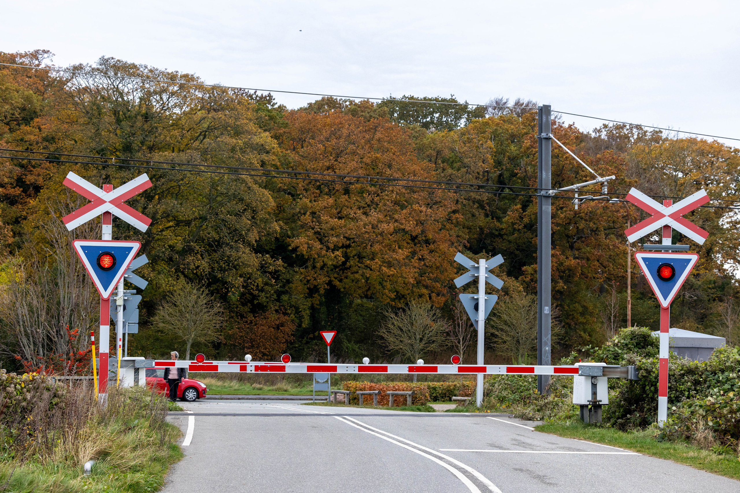 Efterår. Fotograf Aarhus | Portrætfoto Århus | Flotte billeder