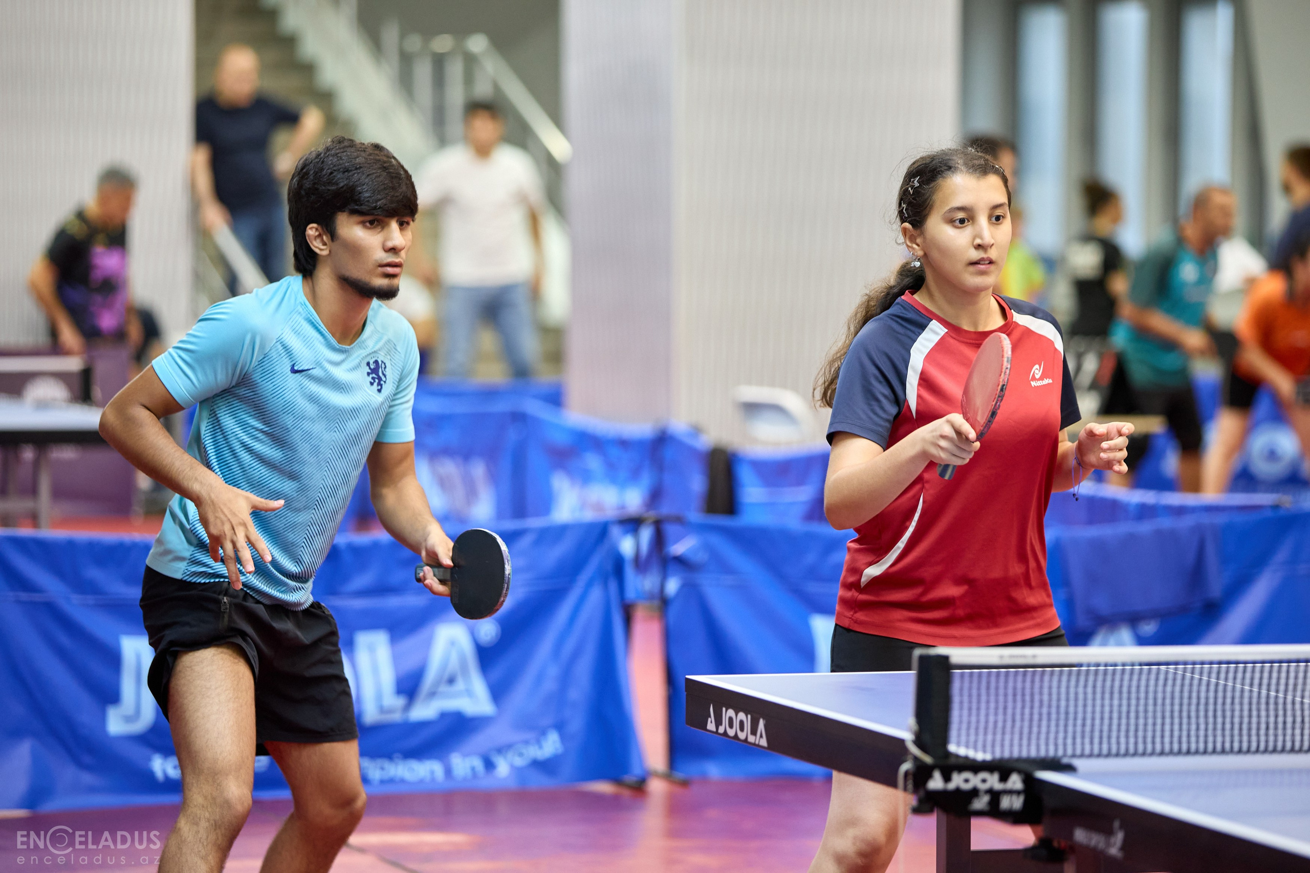 Table Tennis. Mix Tournament. Фотограф в Баку Kamran Enceladus