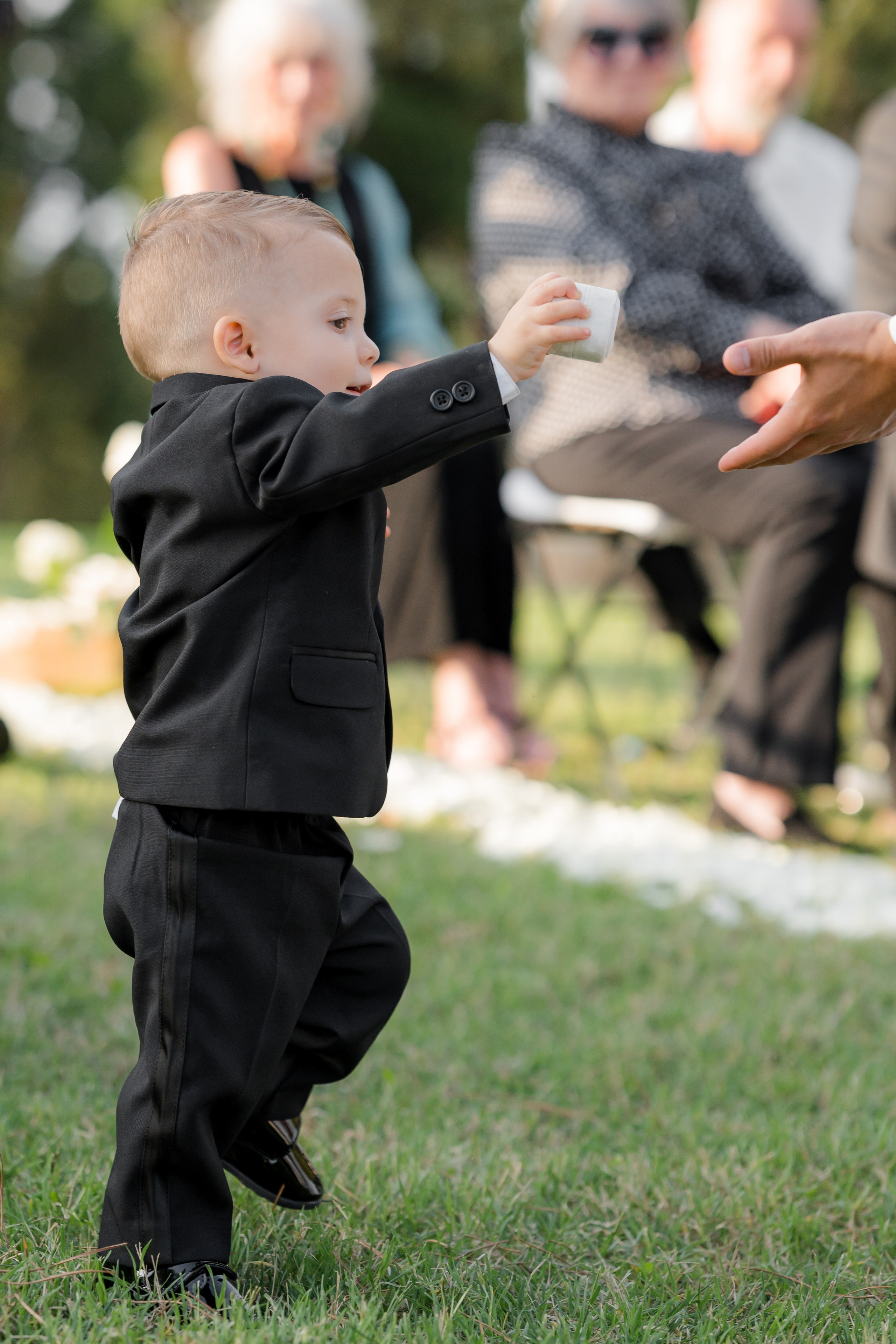 Dom&Ally. Весільний фотограф Вікторія Саврук
