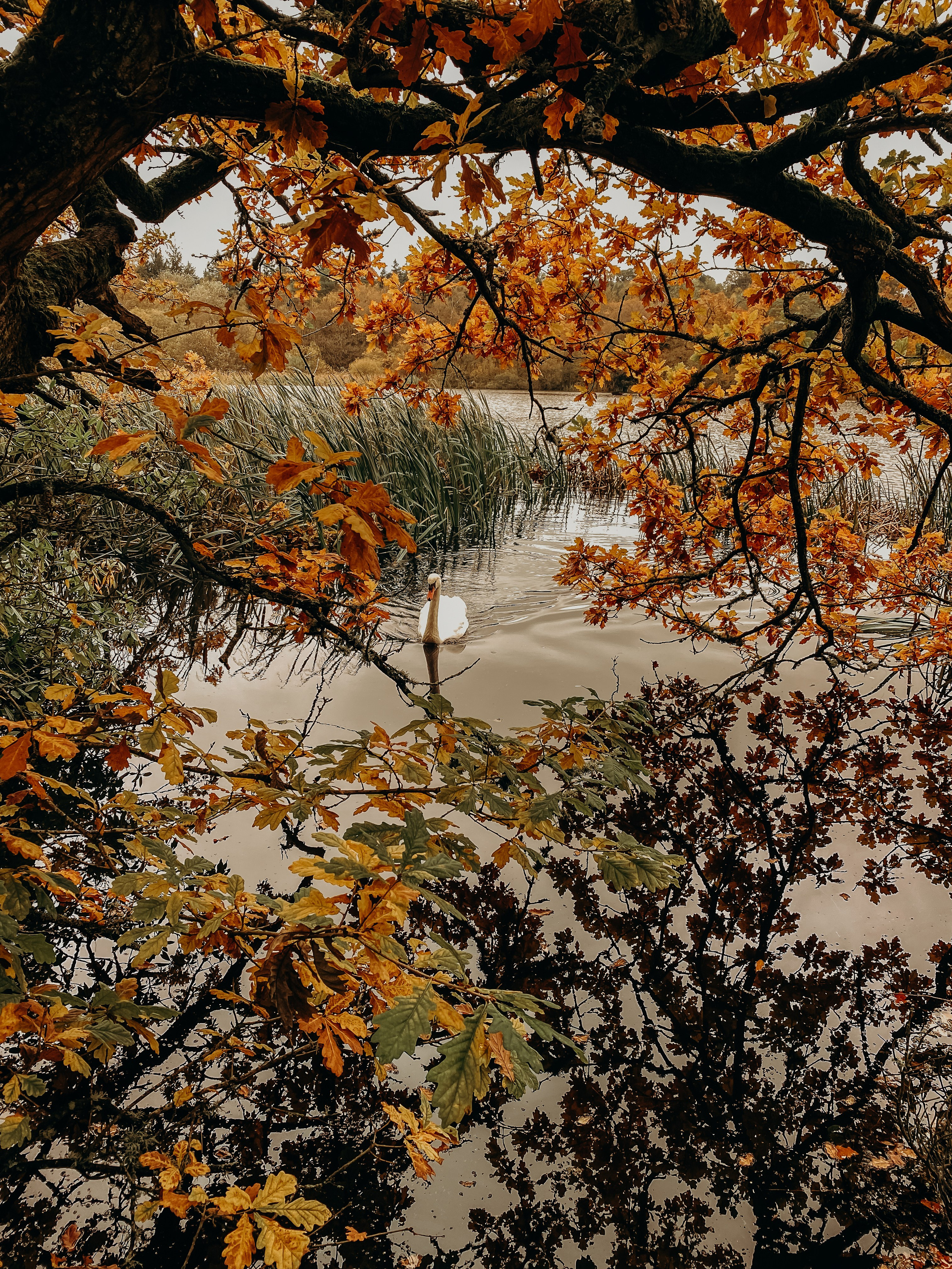 Family lifestyle photographe Northumberland. Newcastle Upon Tyne Photographer Yana Balatskaya