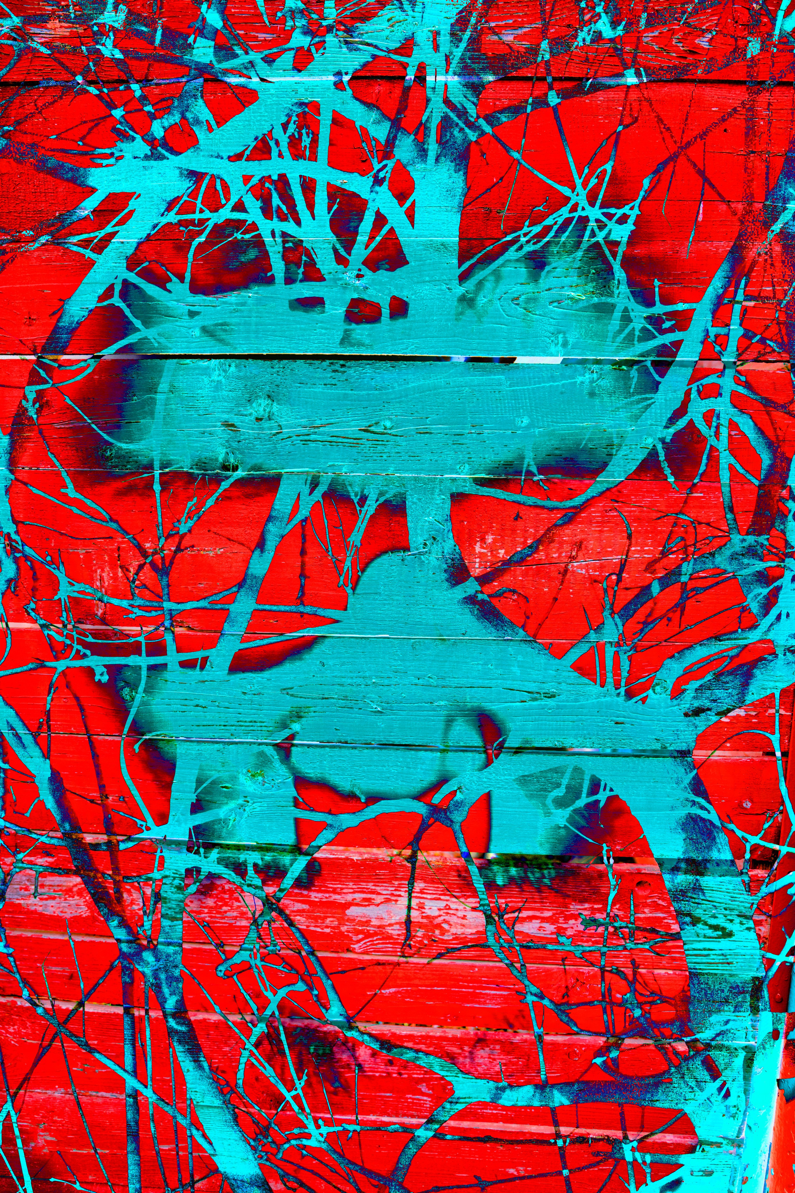 ART. Alexandru Raileanu