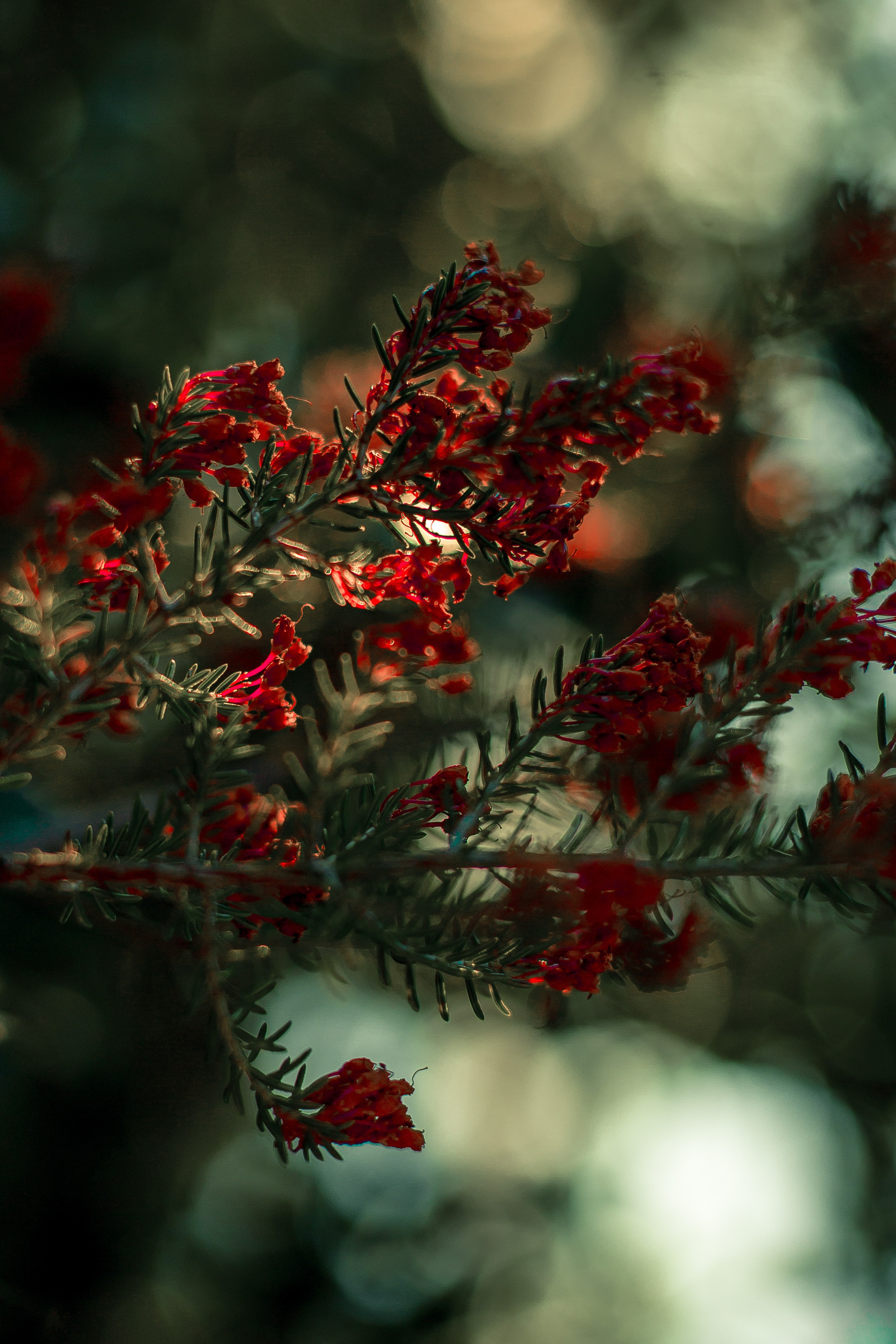 Turkey, Alanya. Art Photographer