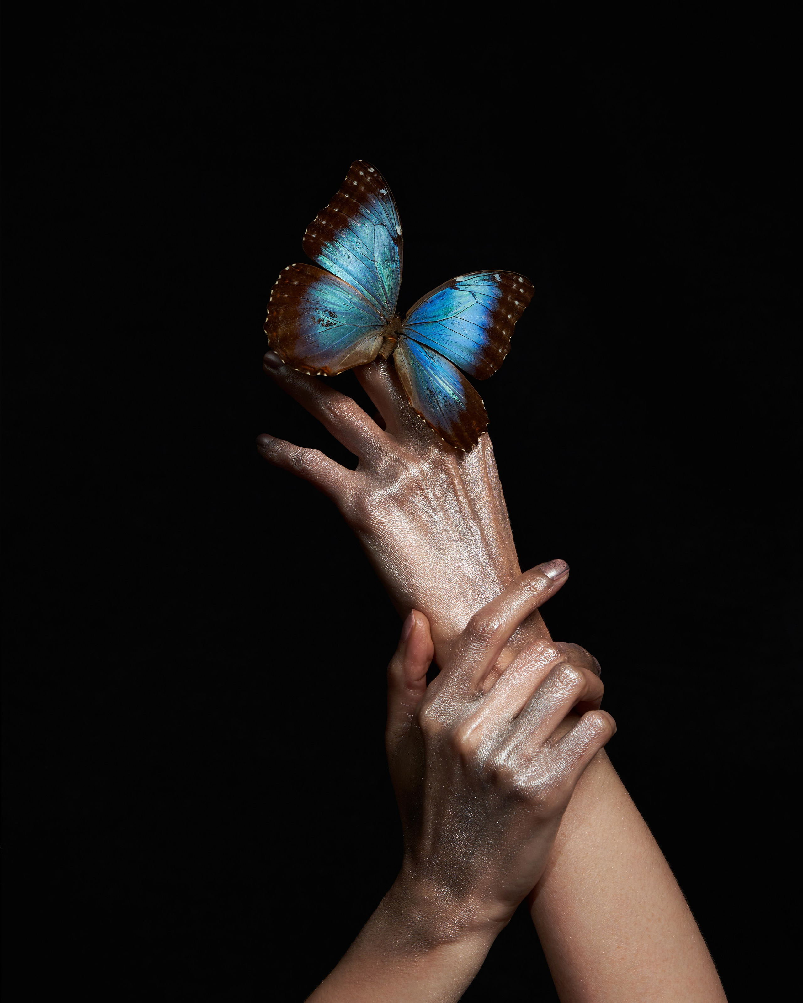 Fineart. Alireza Sahebi Photographer