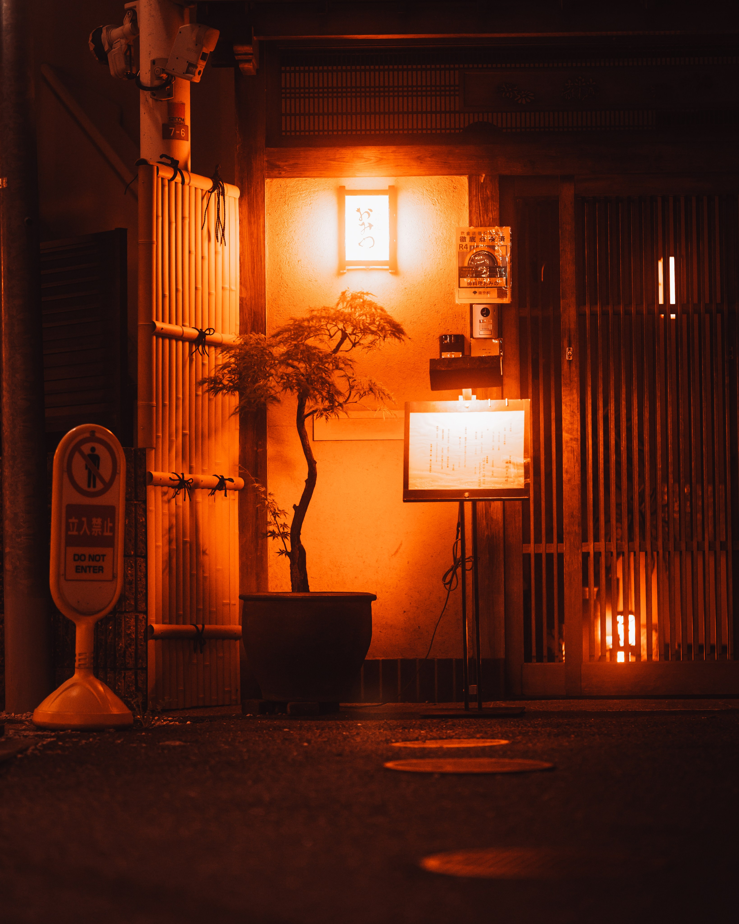 Signature style. Senya JP