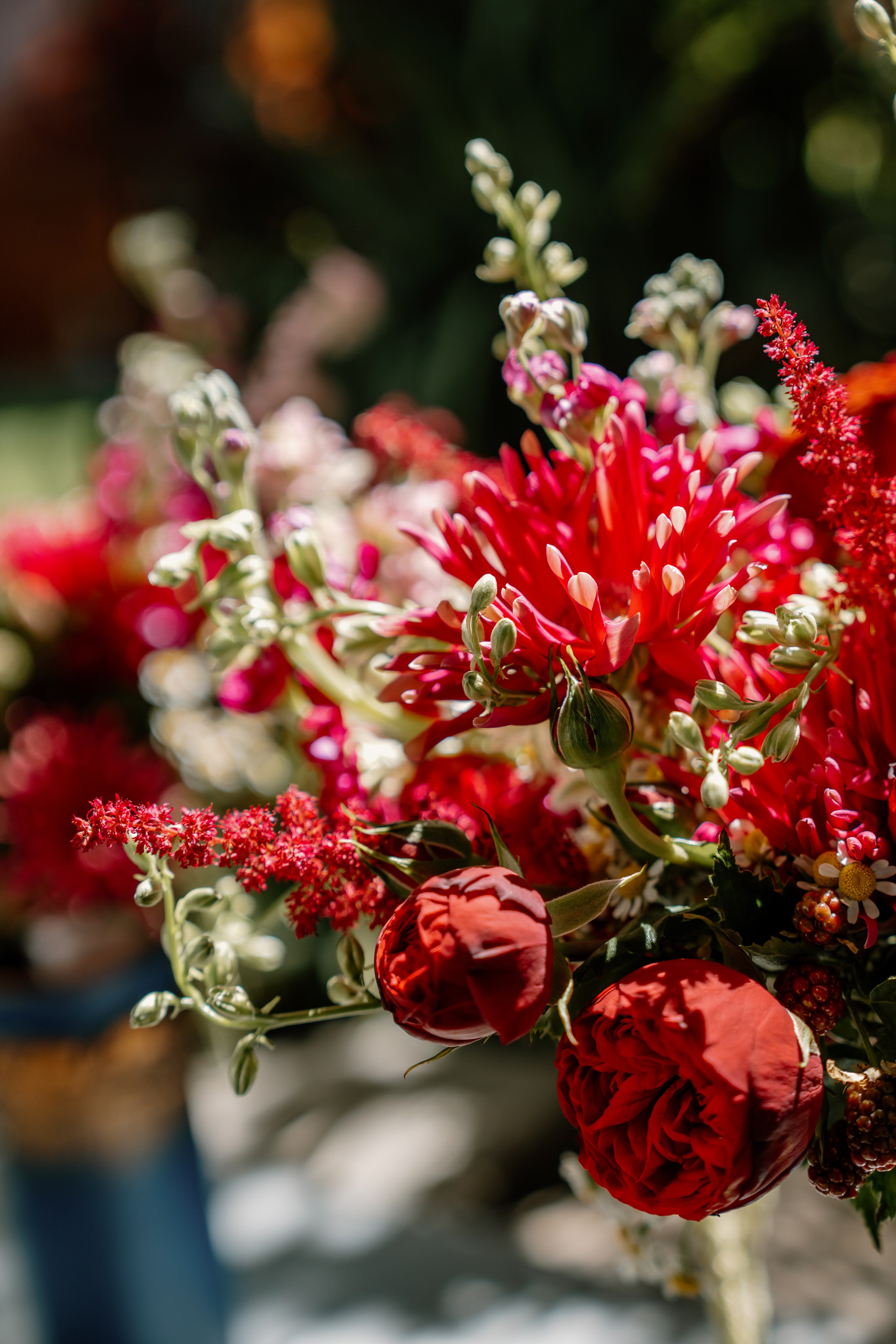 Iulia & Alex. Gabrielacojocariu.com