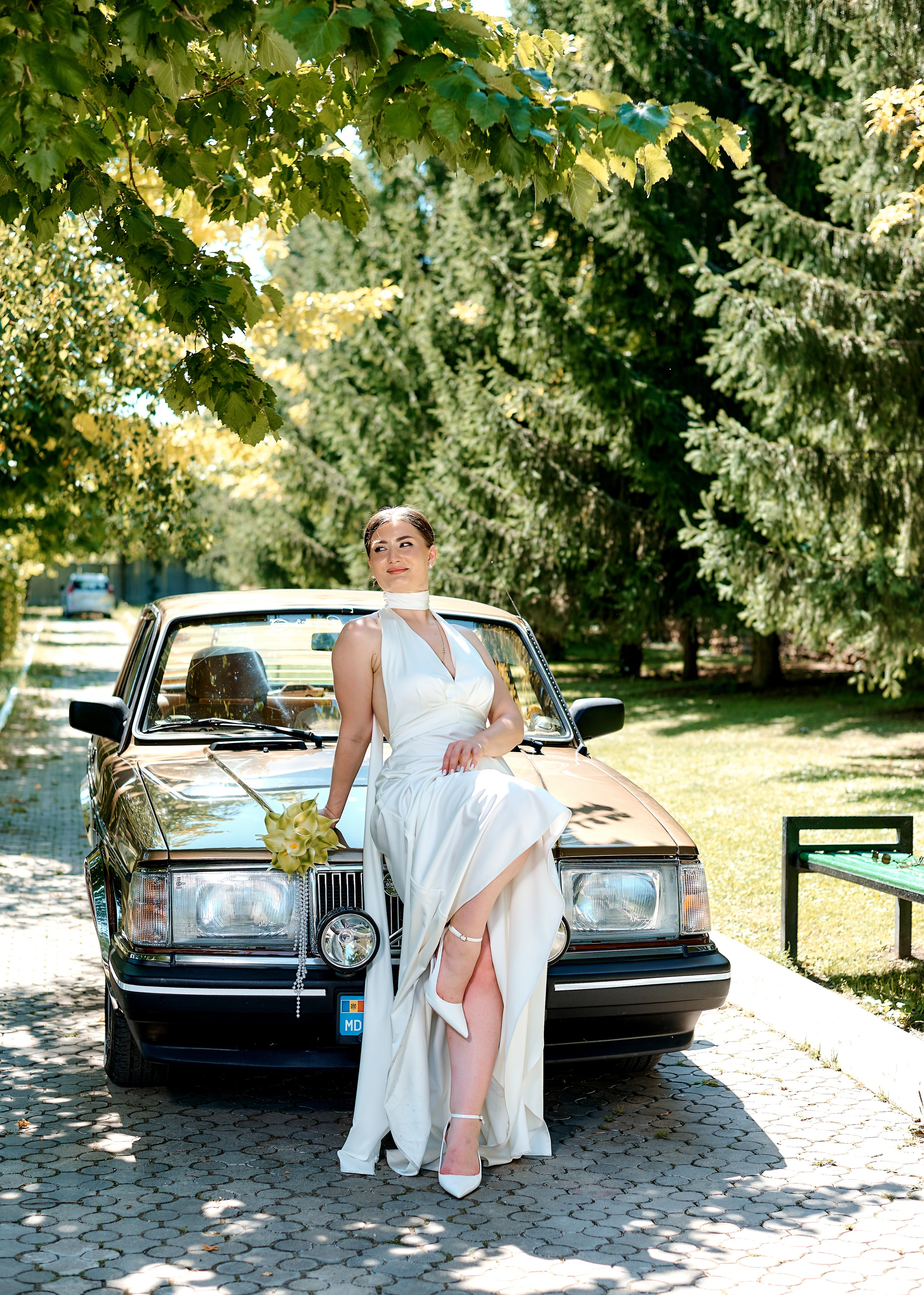 Nicolae & Ilinca. Excellens
