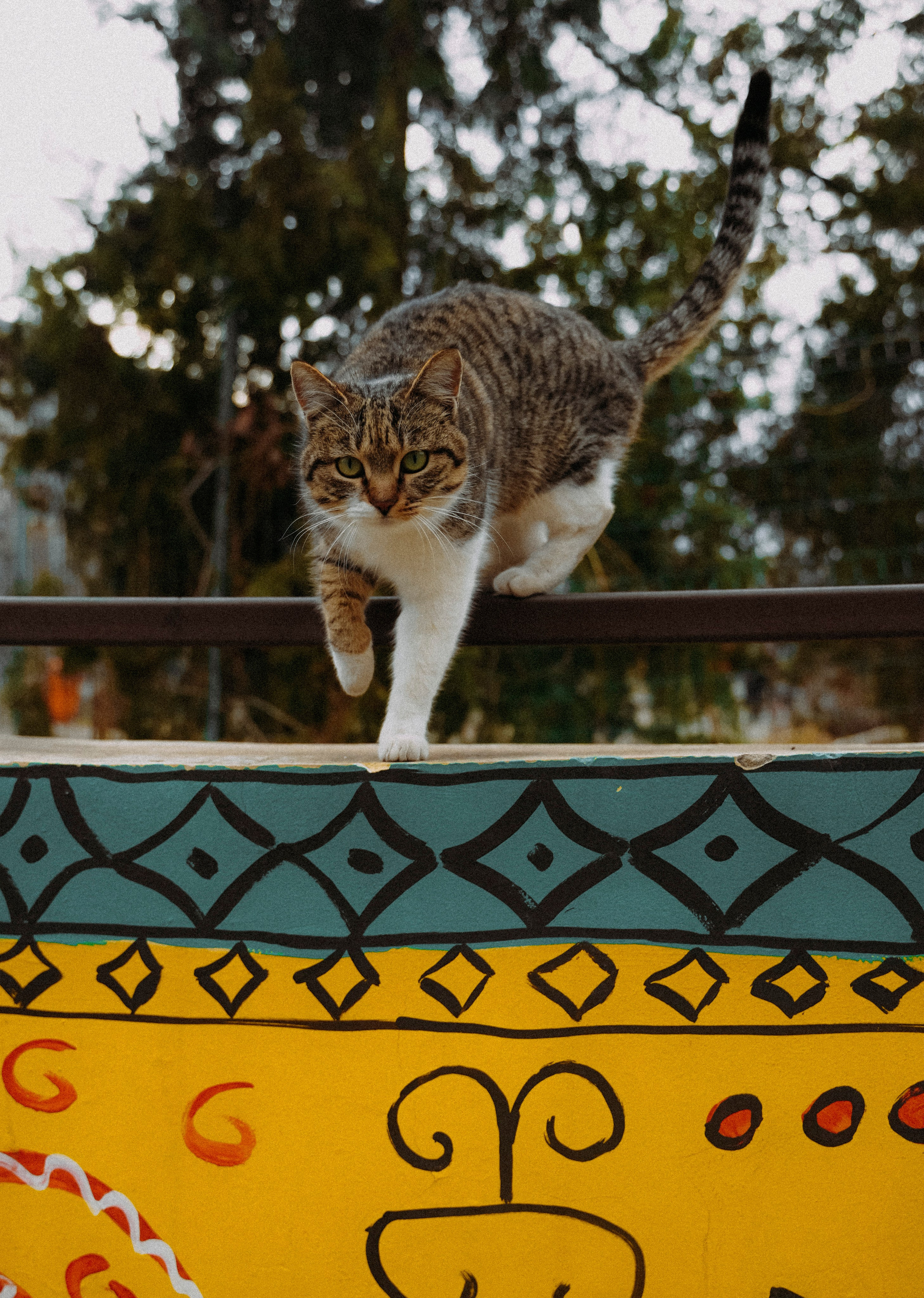 ТБИЛИСИ 2023-2024. Стрит-фотография, полная абсурда, идиотизма и красоты