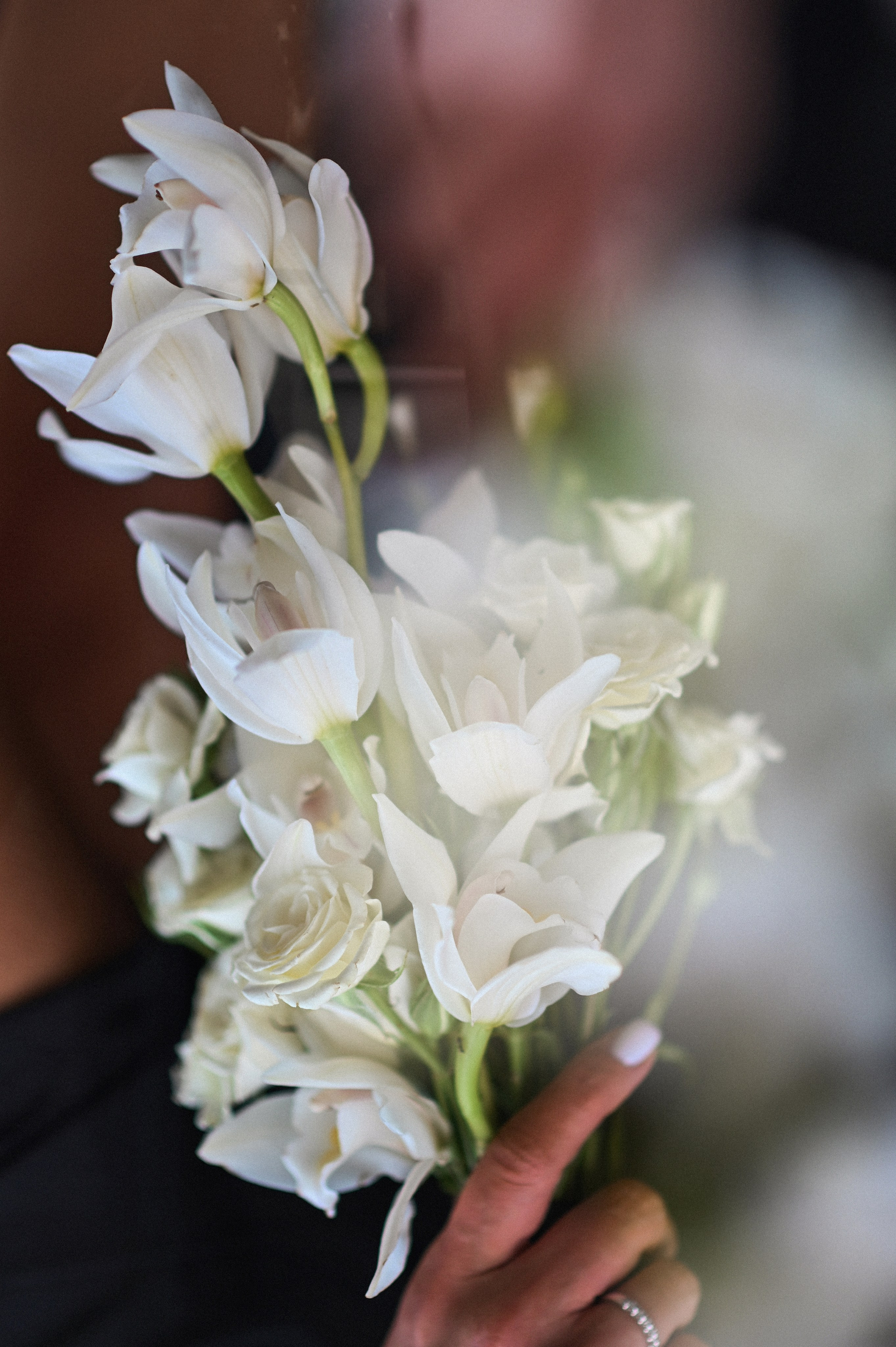 Прогулка с далматинцами. Детский и семейный фотограф в финляндии дина пулкка. контент фотограф