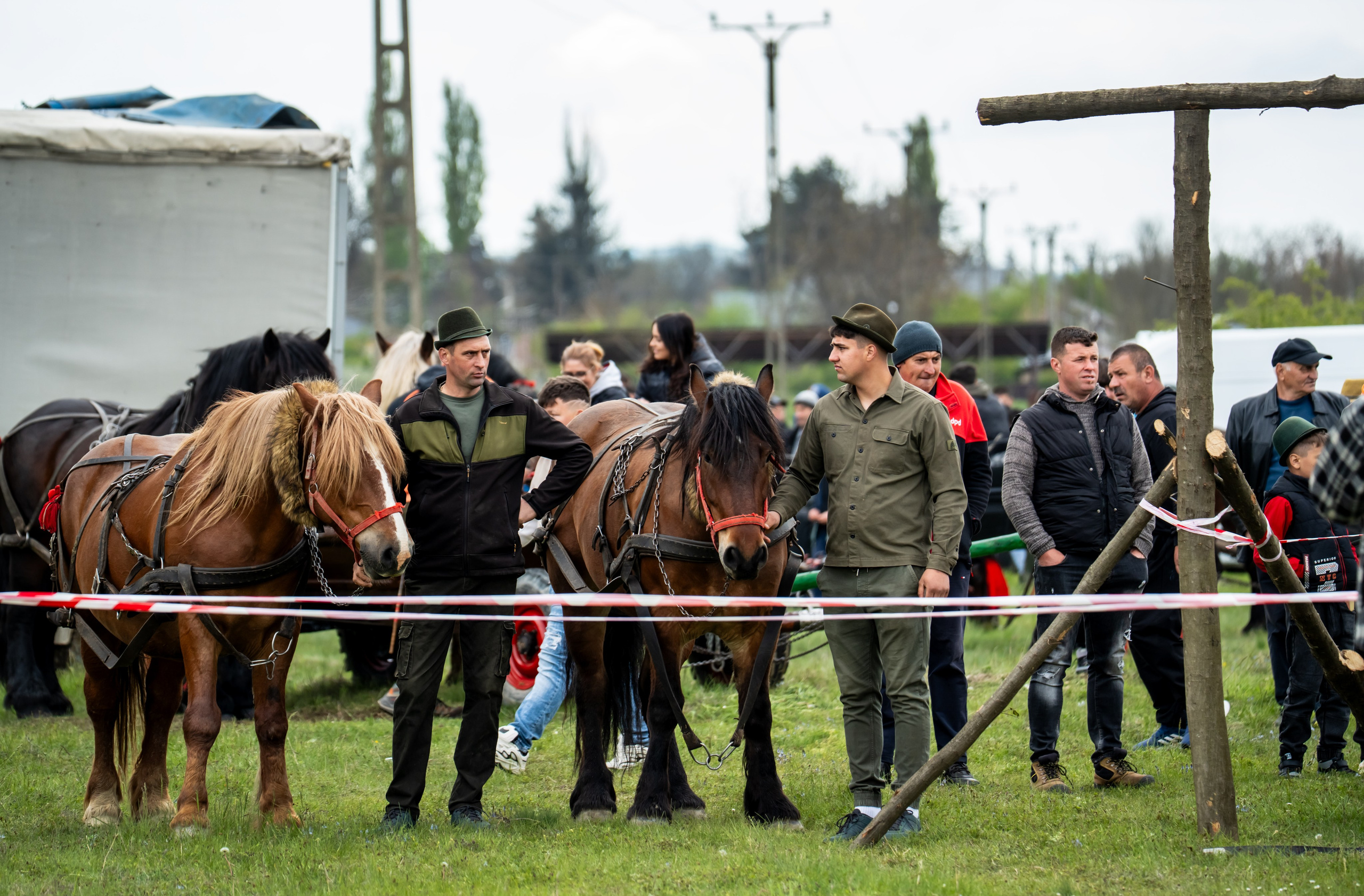 Concurs Ecvestru Vărbilău ediția a 4-a. Mihai Alexandra Events