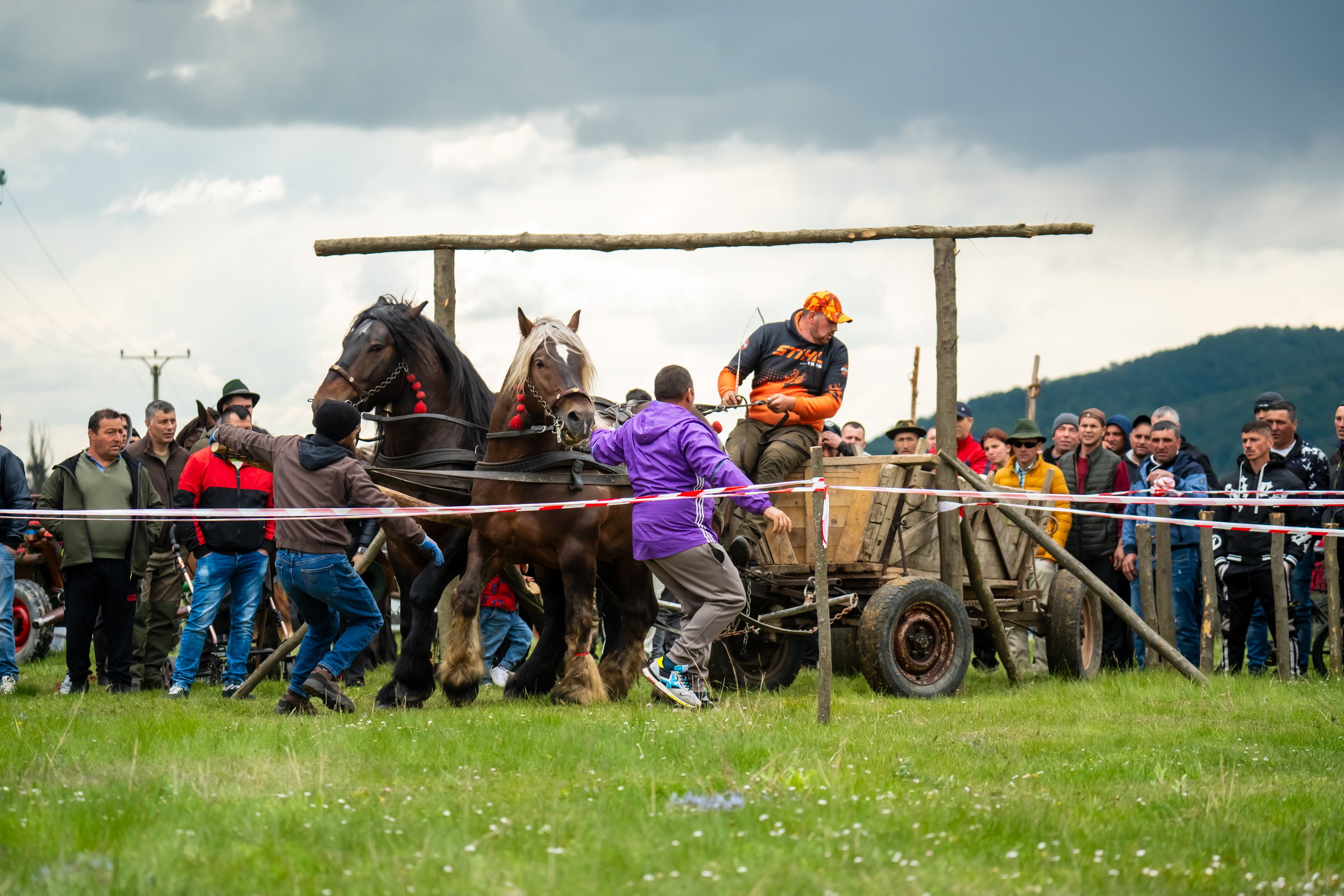 Concurs Ecvestru Vărbilău ediția a 4-a. Mihai Alexandra Events