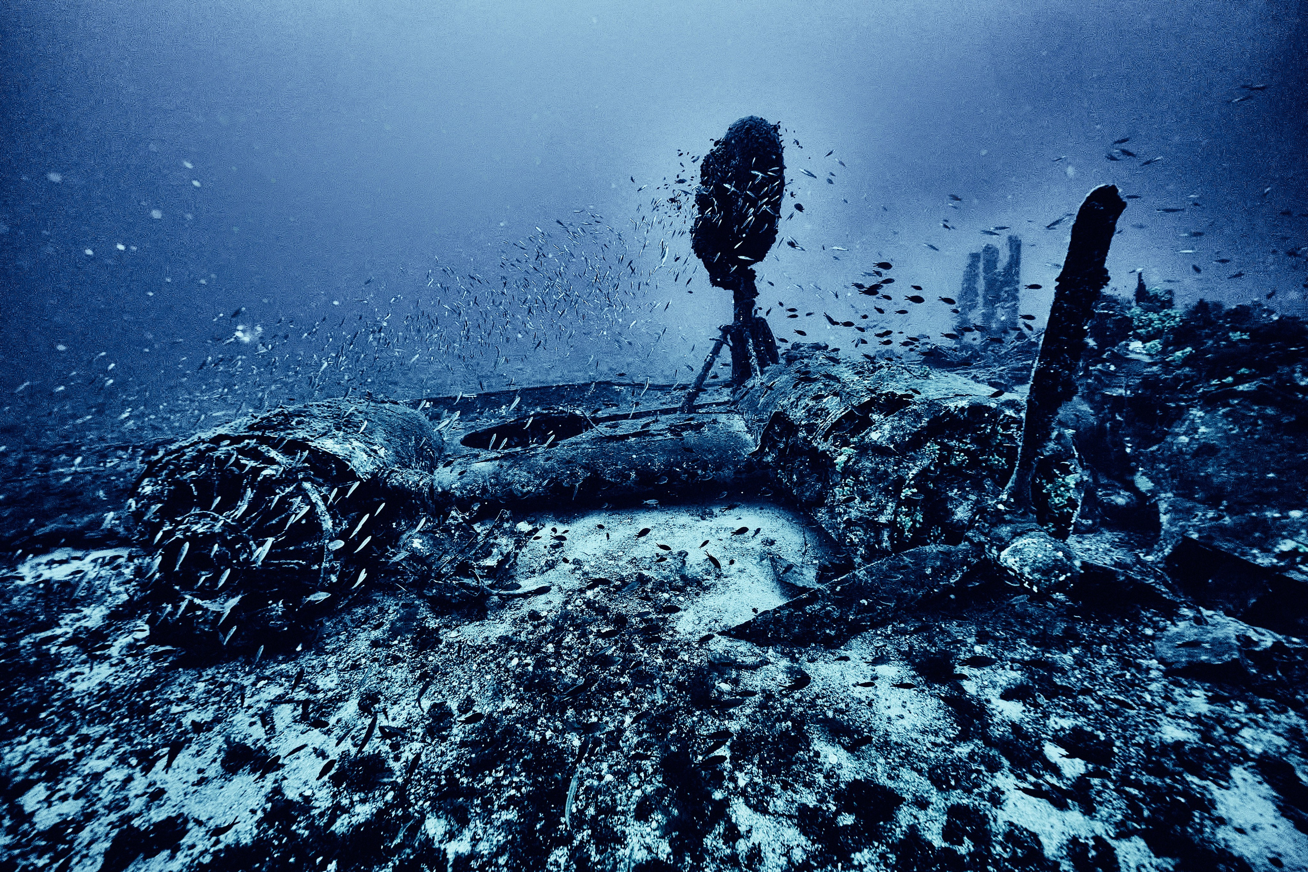 Fotograf podwodny Andriej Szypilow. Wrak samolotu B-24 Liberator „Tulsamerican” spoczywa na dnie Adriatyku w pobliżu wysepki Veli Paržanj, położonej na południowy wschód od wyspy Vis. Samolot był ostatnim egzemplarzem wyprodukowanym w fabryce Douglas w Tulsie w stanie Oklahoma, a za jego powstanie zapłacili pracownicy fabryki i okoliczni mieszkańcy, nadając mu przezwisko „Tulsamerican” (ten egzemplarz - między innymi - zrzucał zaopatrzenie dla Powstania Warszawskiego).