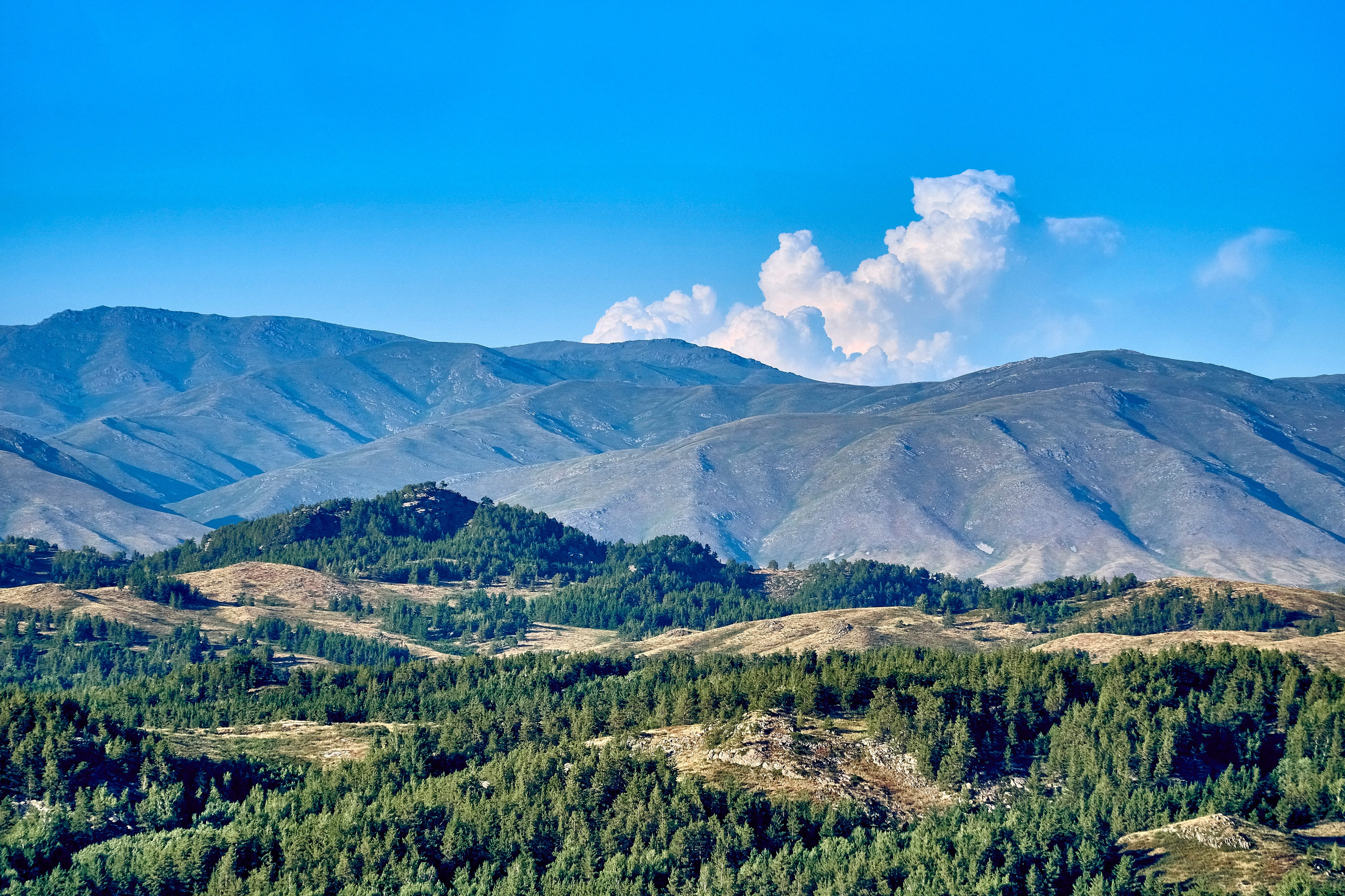 Buchtarma (Kazachstan). Andriej Szypilow - Fotografia & Wideografia