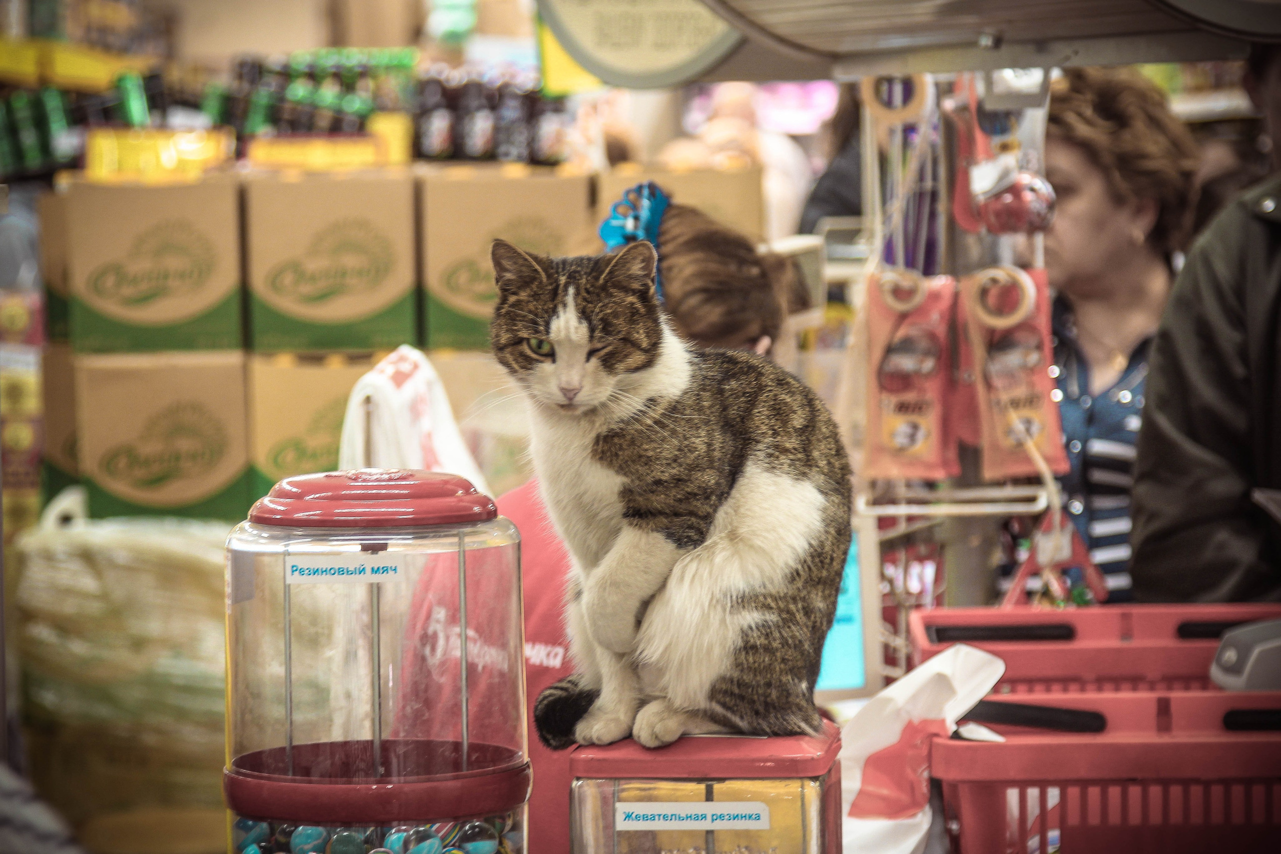 2013. Стрит-фотография, полная абсурда, идиотизма и красоты