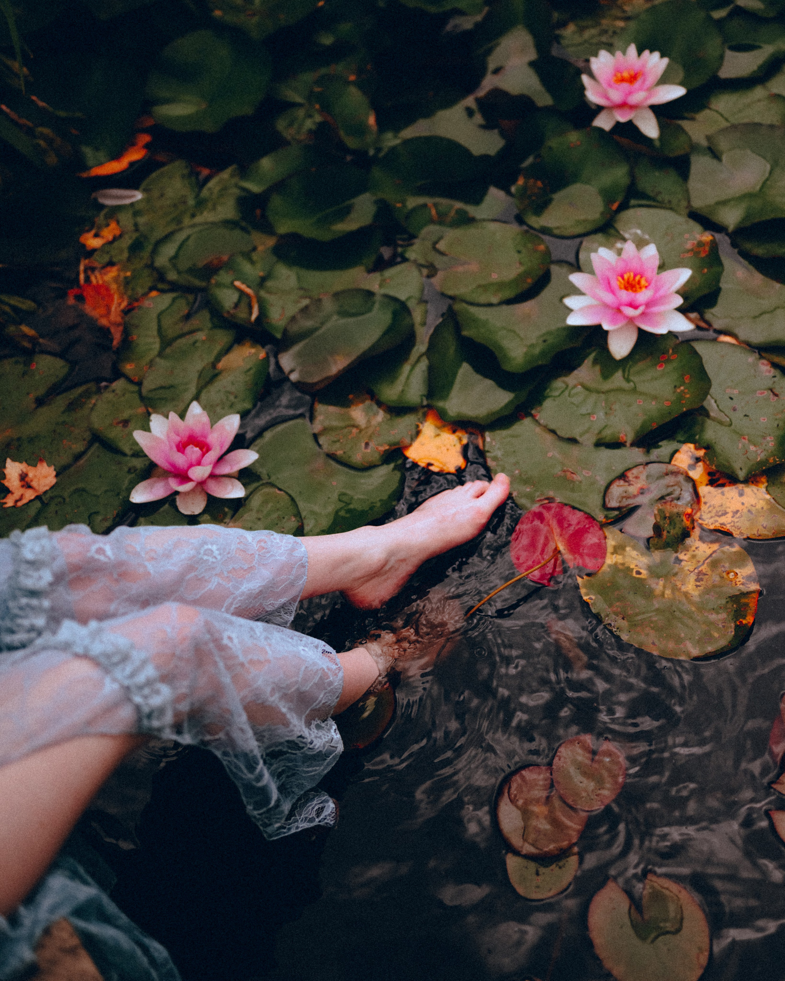 Fairy Photoshoot in a Lotus Pond. Moth & Moss Photography