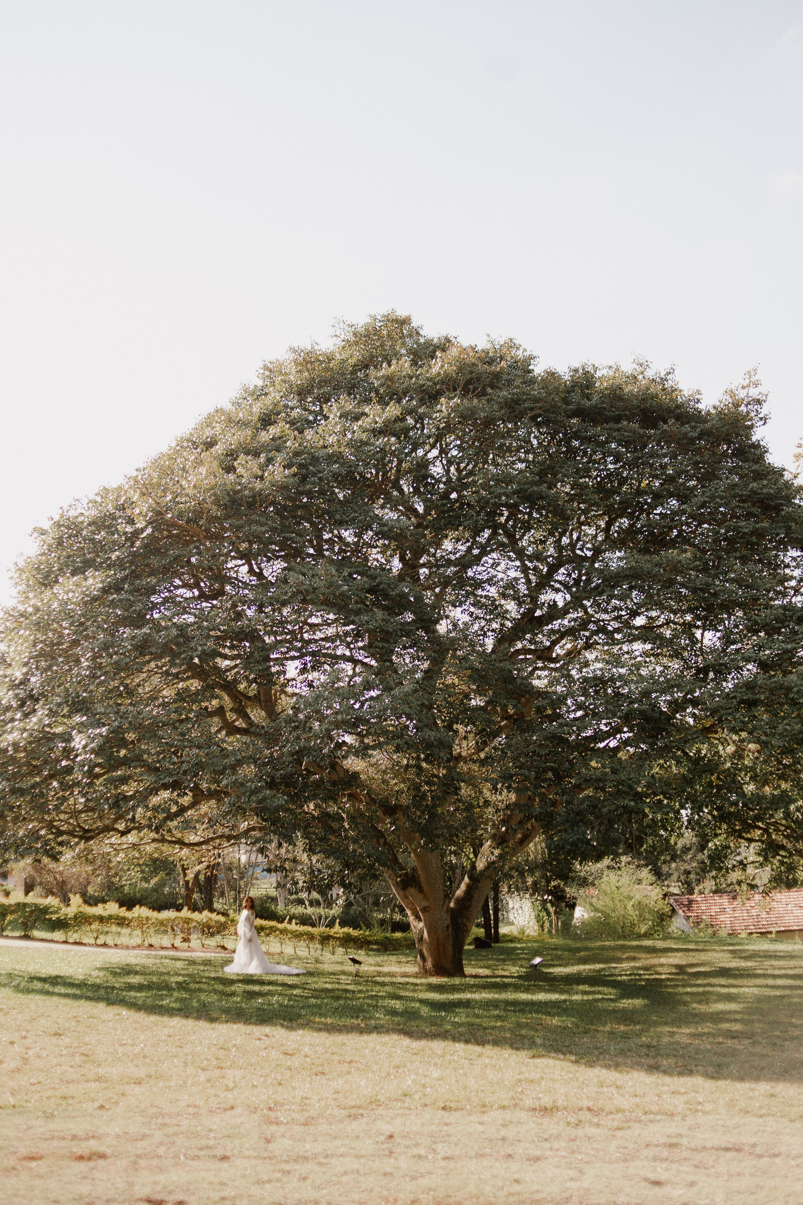 Editorial — Estância Jatobá