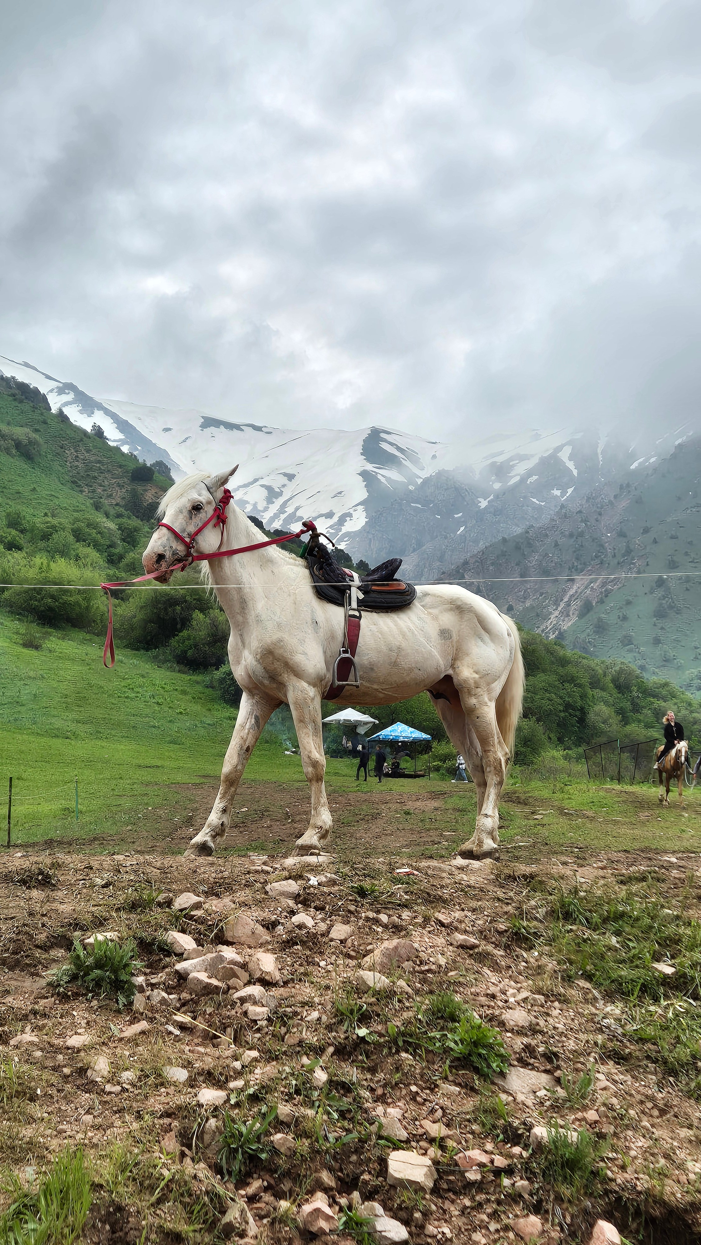 Uzbekistan 2024. Photographer Marina, city of Nuremberg