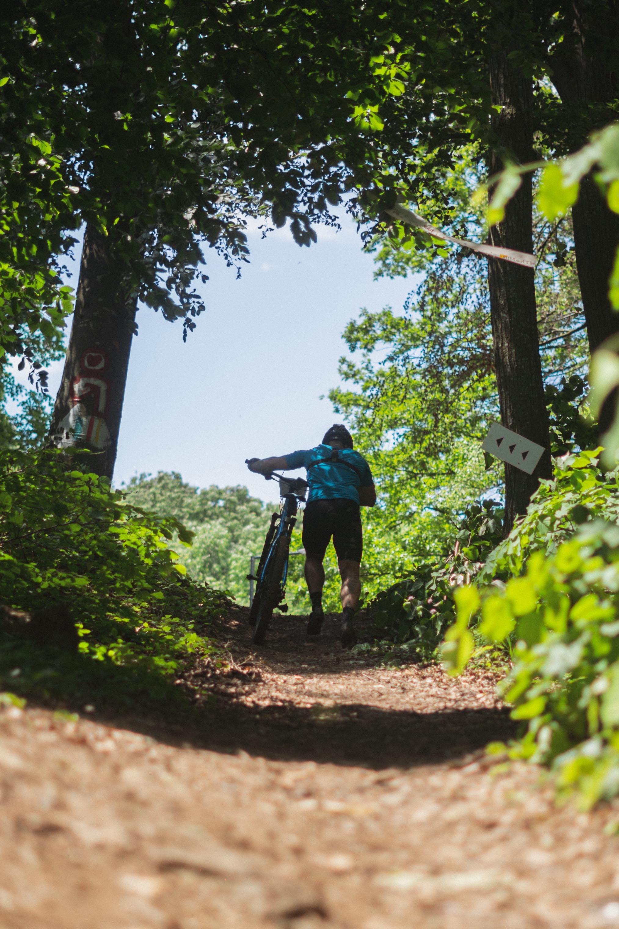 Tour de Fruska. Zhukov studio