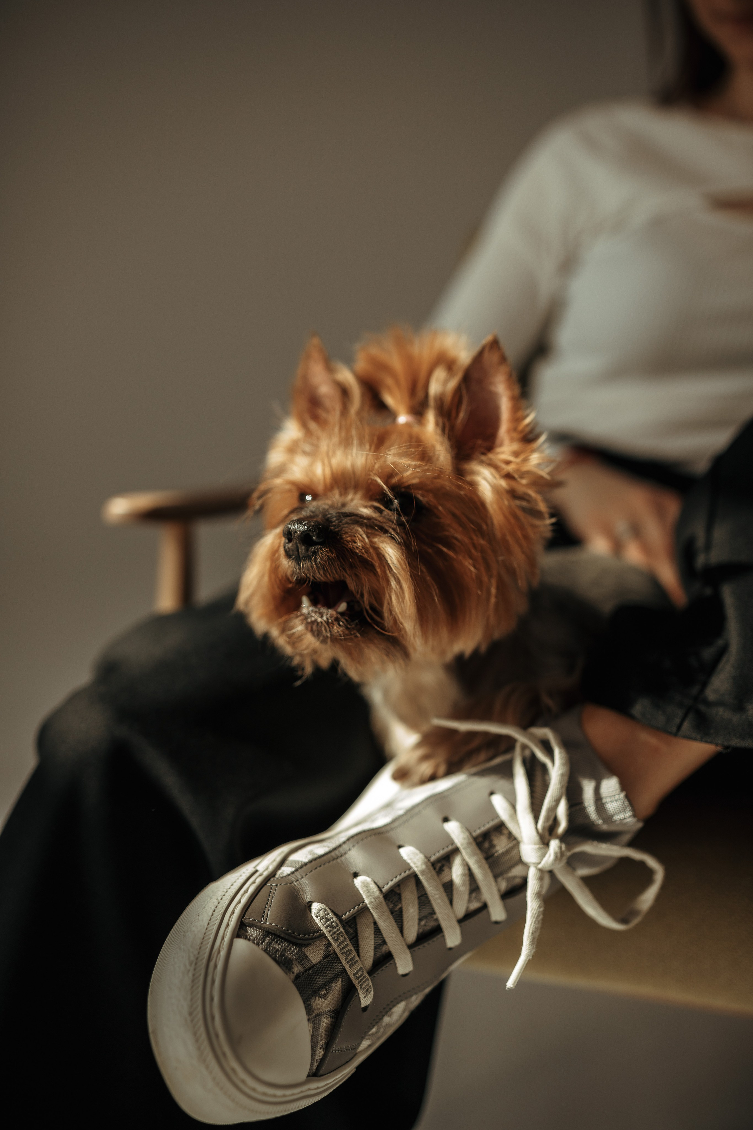 Studio Photo Shoot. Maternity, newborn photographer in the Bay Area|Iryna Rakivnenko