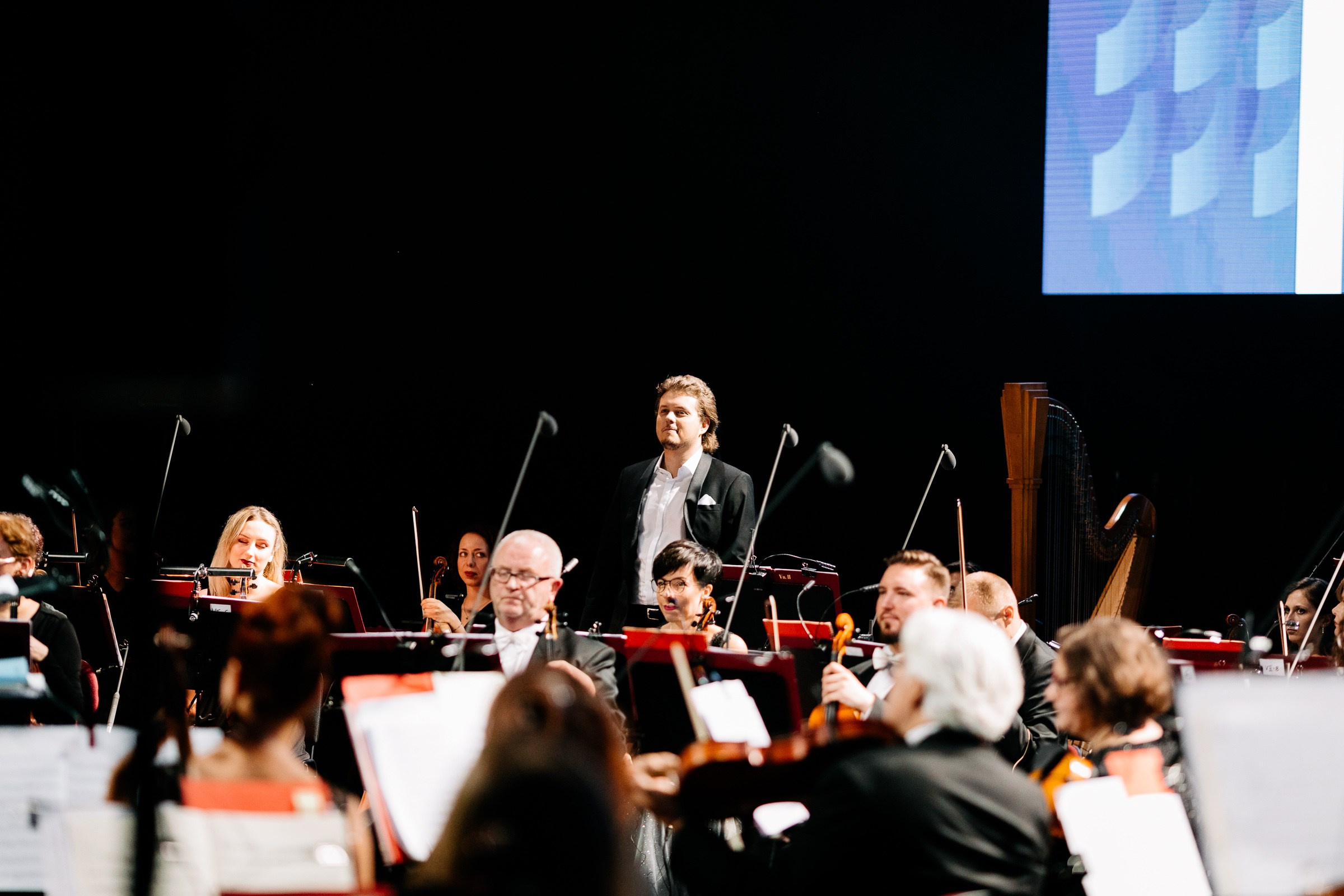 Opera Leśna Koncert. Fotograf Ślubny Warszawa - Sesje Biznesowe Rodzinne Eventy