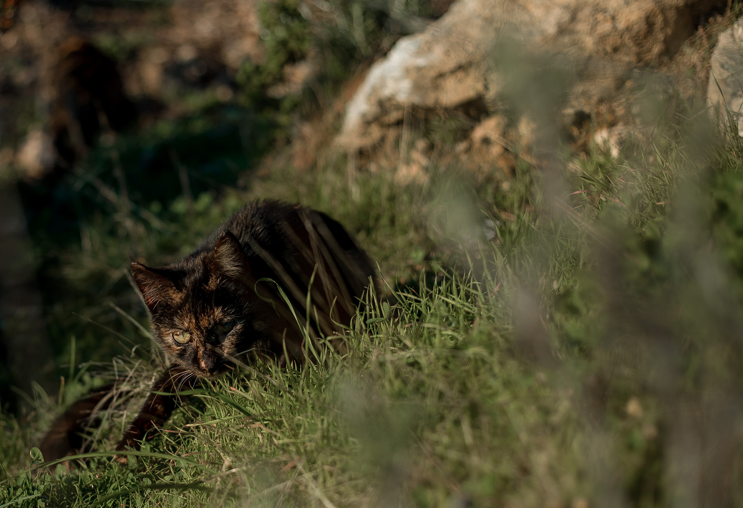 Turkey, Alanya. Art Photographer
