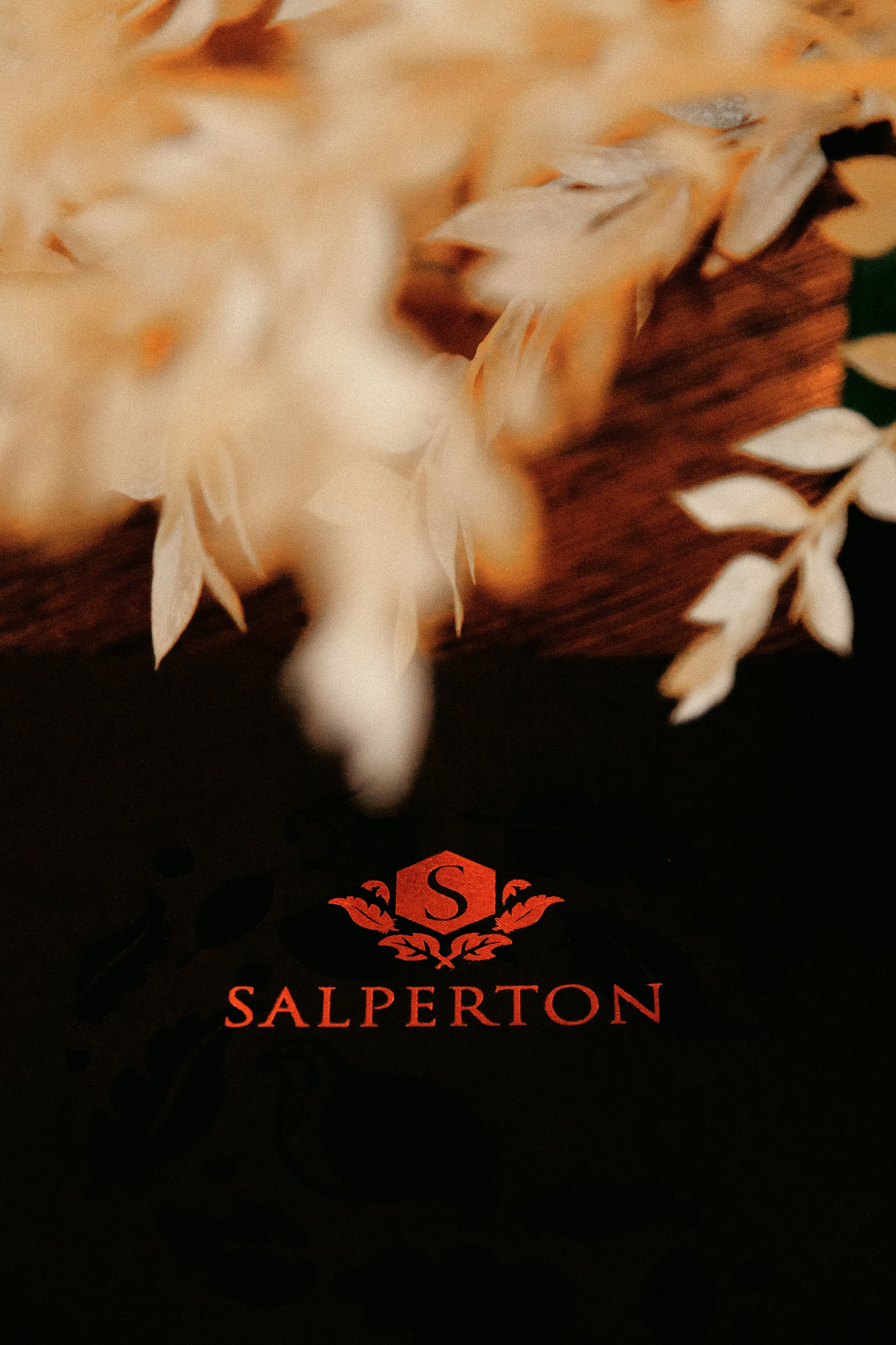 Salperton | Family Photographer in London and Kent