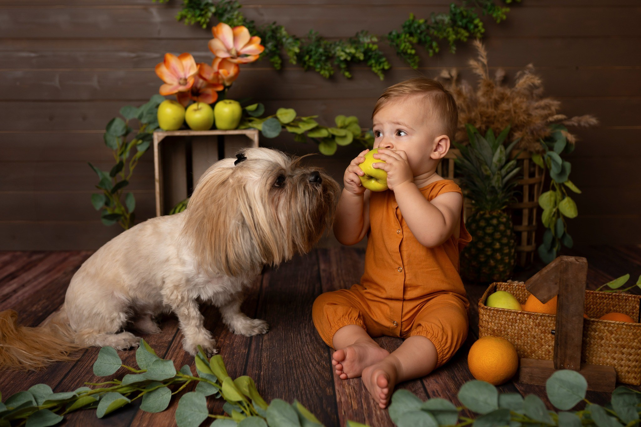 Sesion Smash Cake. Fotografia | Videografia | Eventos |