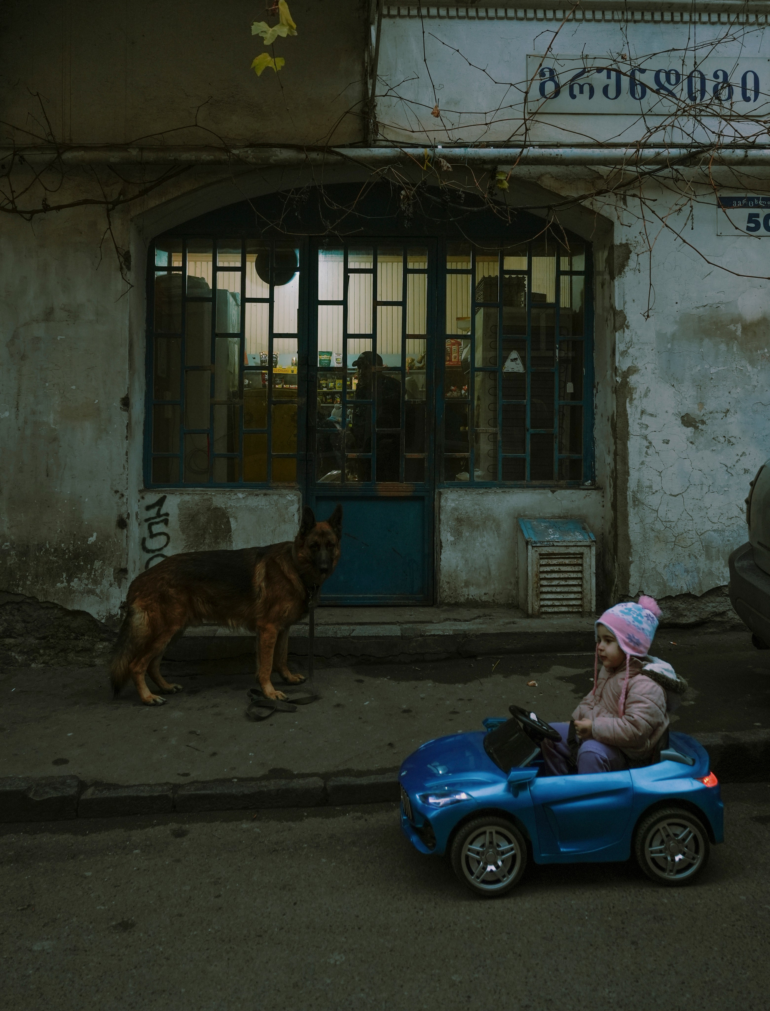 ТБИЛИСИ 2023-2024. Стрит-фотография, полная абсурда, идиотизма и красоты