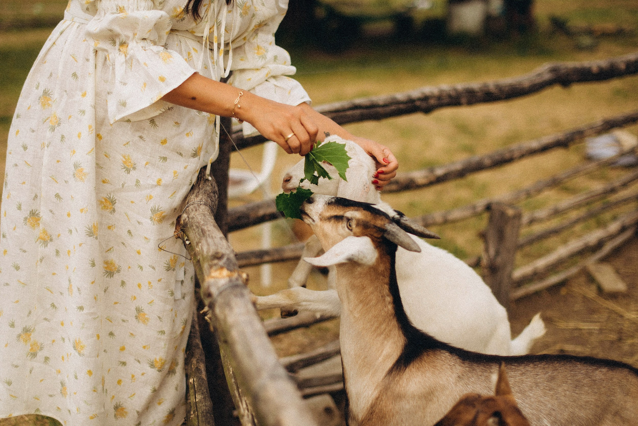 Беременность на природе. Семейный фотограф Лейпциг, Германия