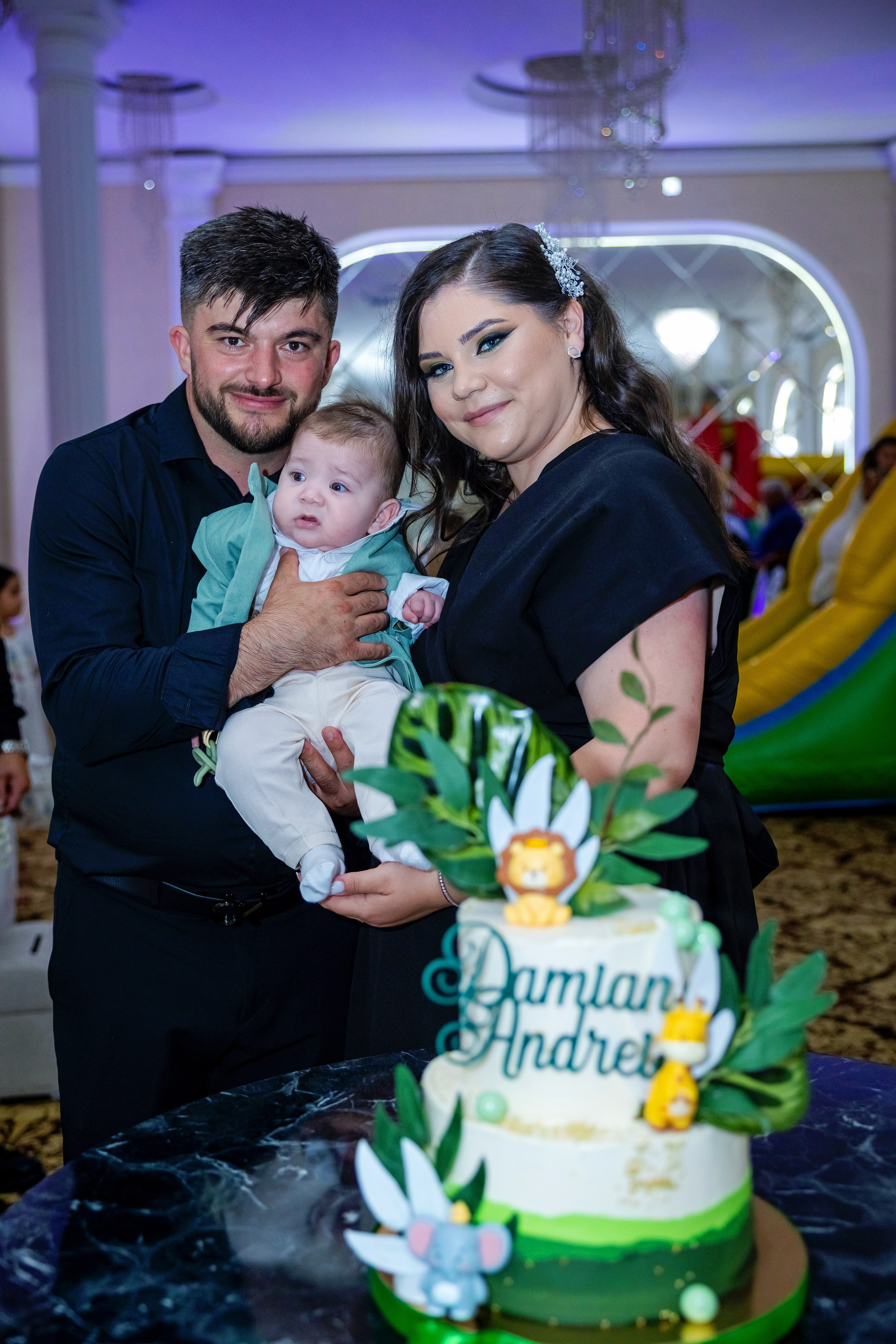 Andrei Damian. Moments By Gub