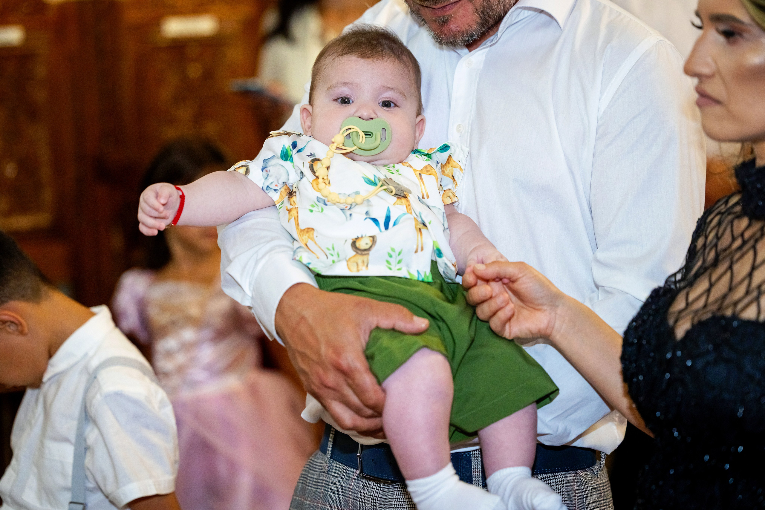 Andrei Damian. Moments By Gub