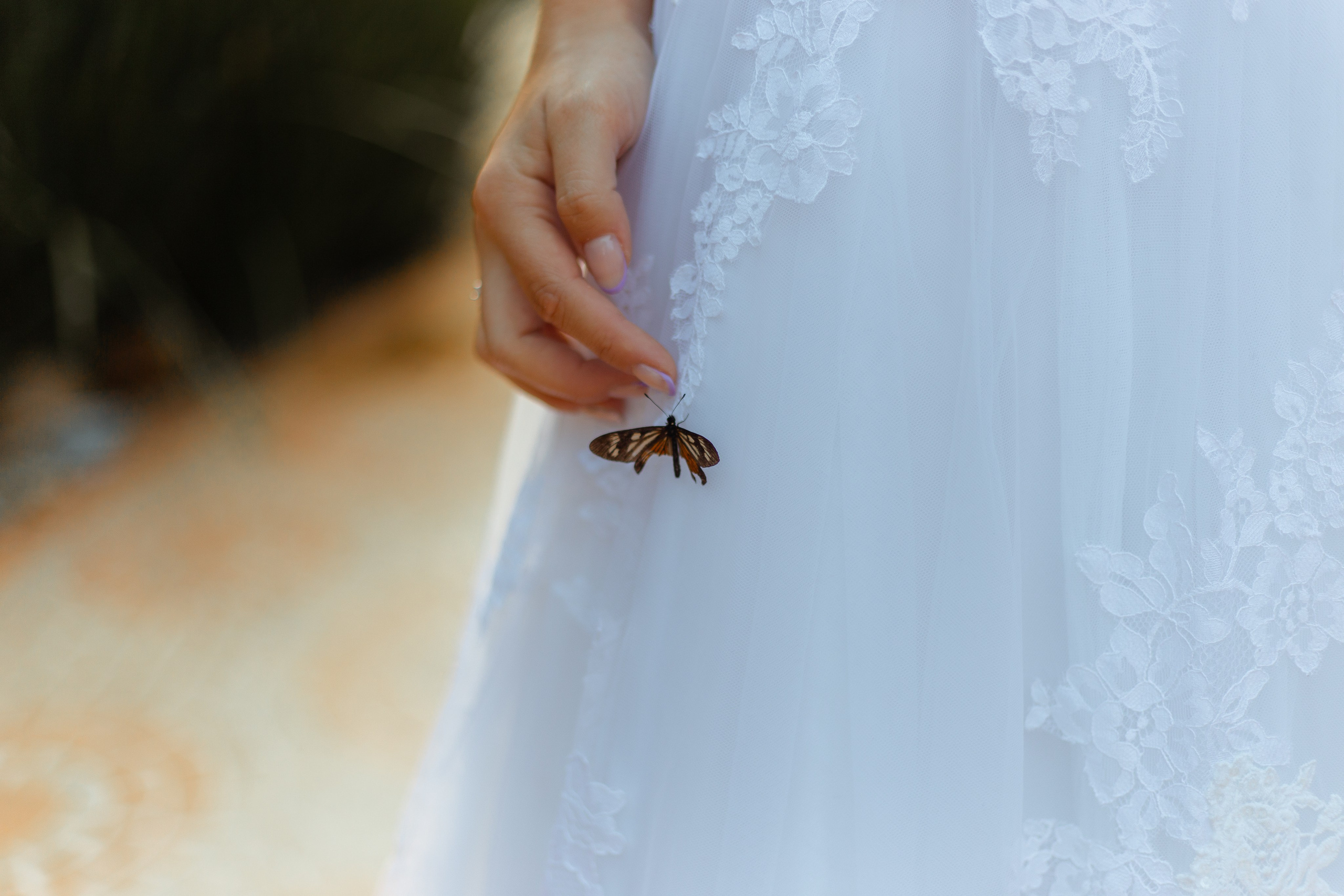 Editorial Noiva (Margaridas)