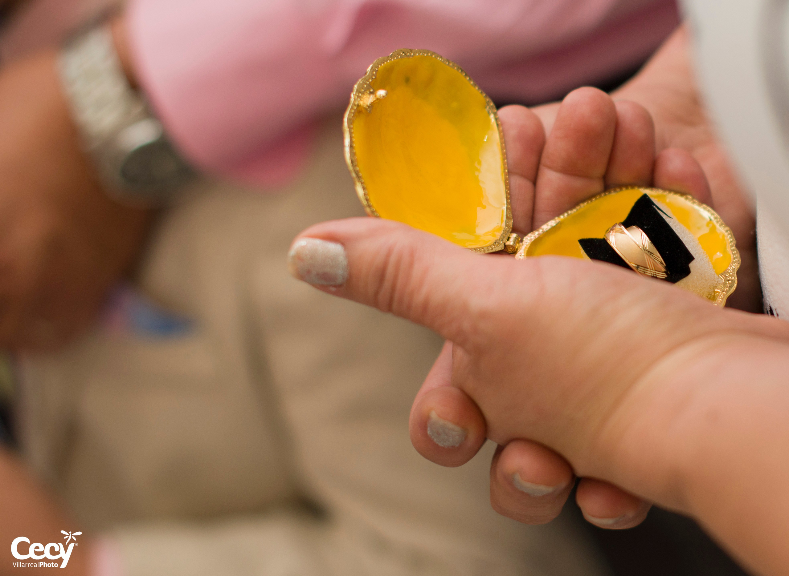 BODAS DE ORO - GUADALUPE Y FRANCISCO