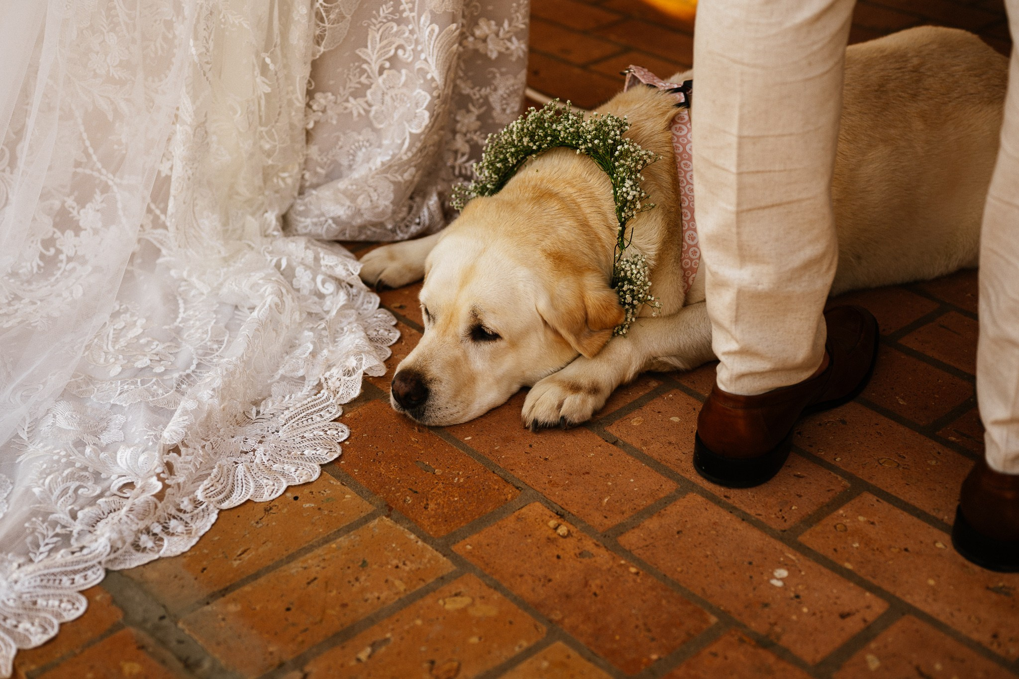 Julia & Alvaro | Fotografia de Casamento no Palmeiras Eventos de Limeira