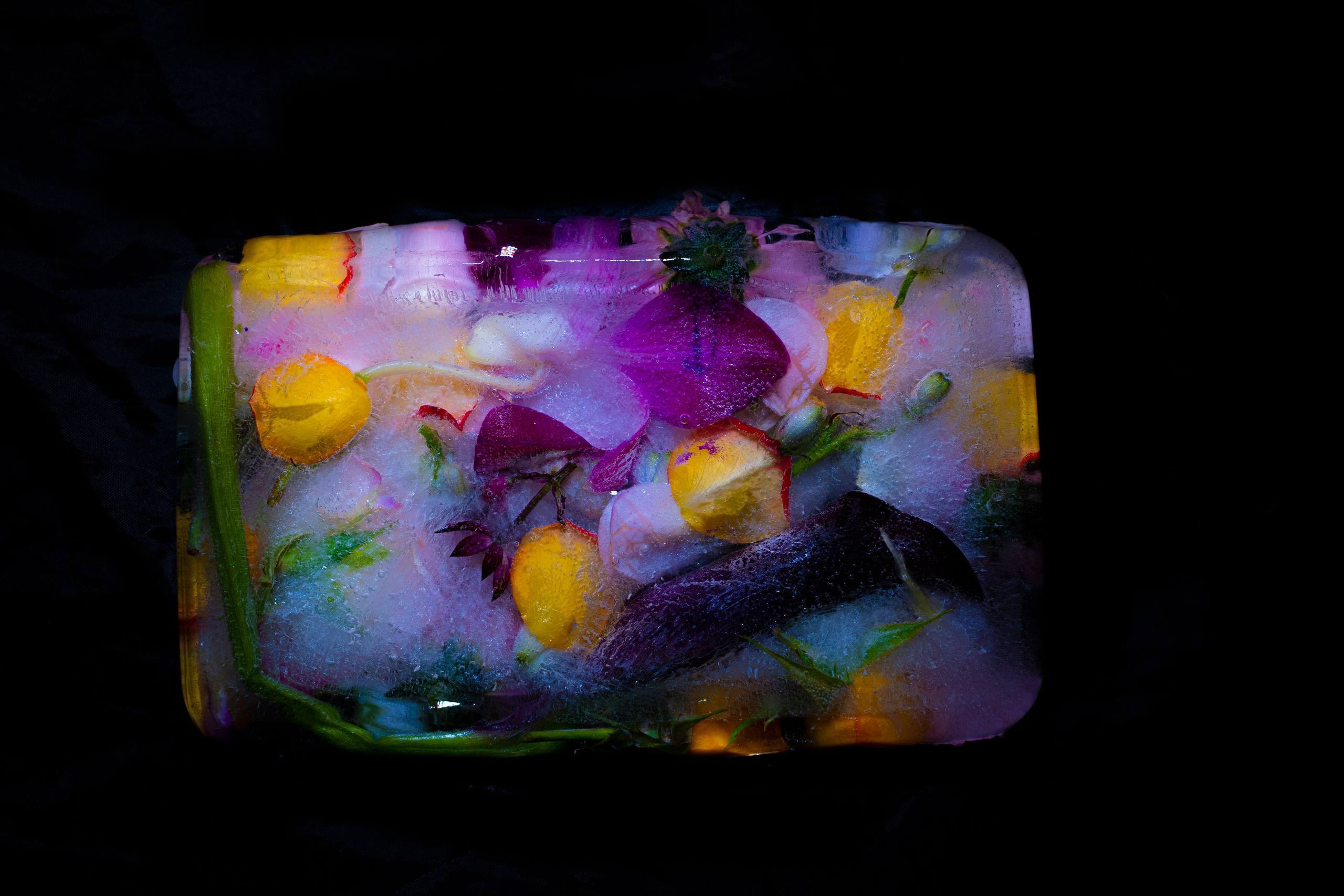 THEME: FLOWERS OF THE SOUL. Anna Omni — concept photographer and digital artist in Riga, Latvia