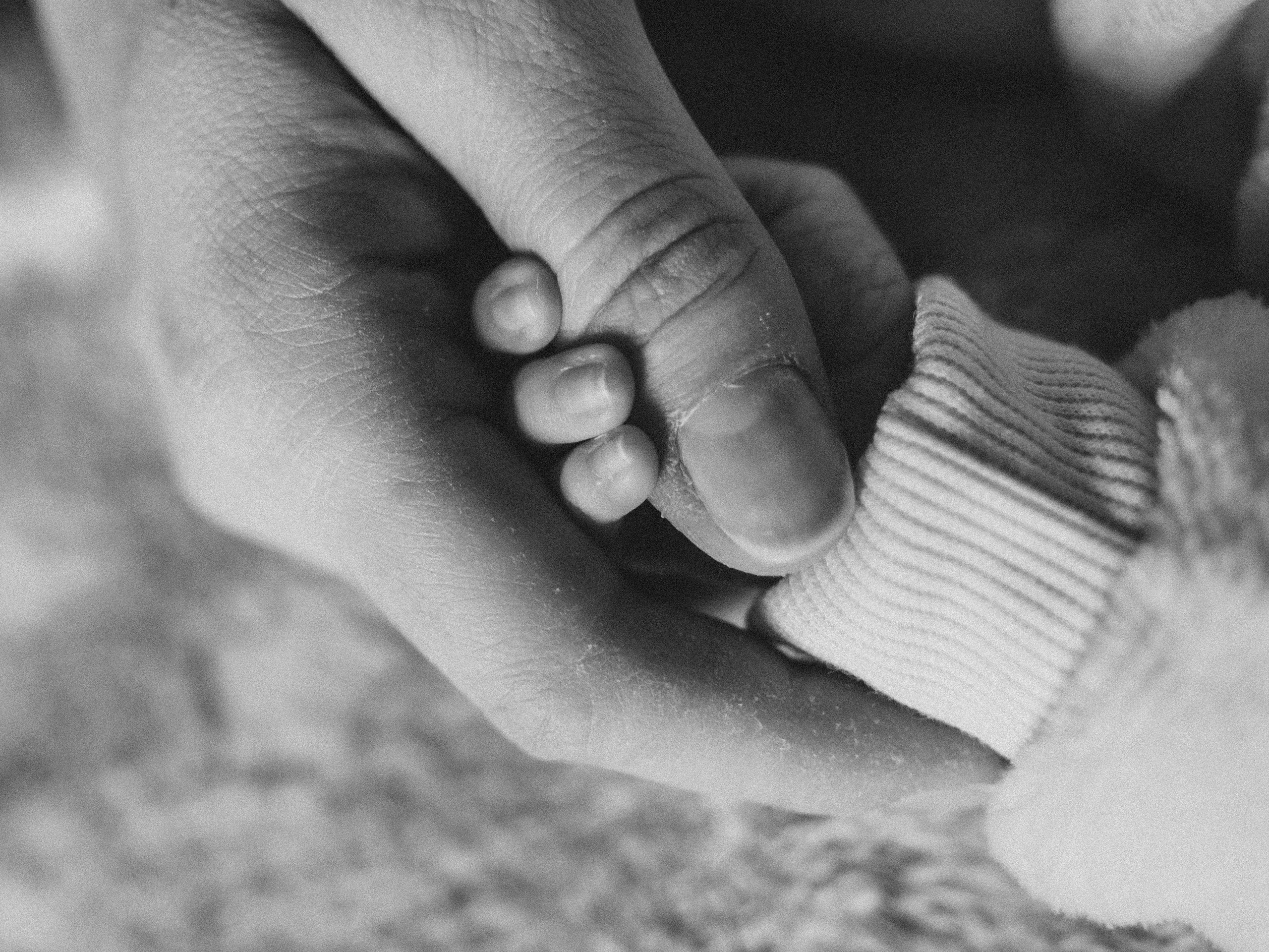 Photo portfolio. TanChuSpace