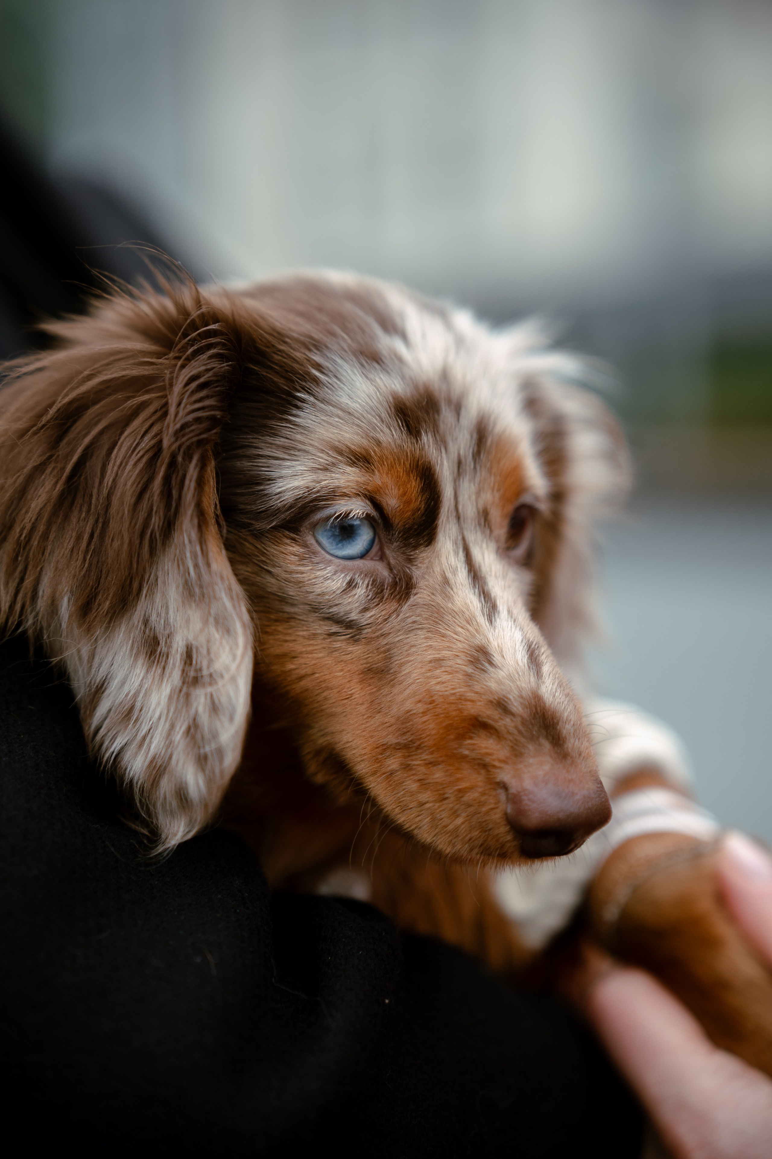Olga, Christian & Isildur. Photo Vienna and Bratislava
